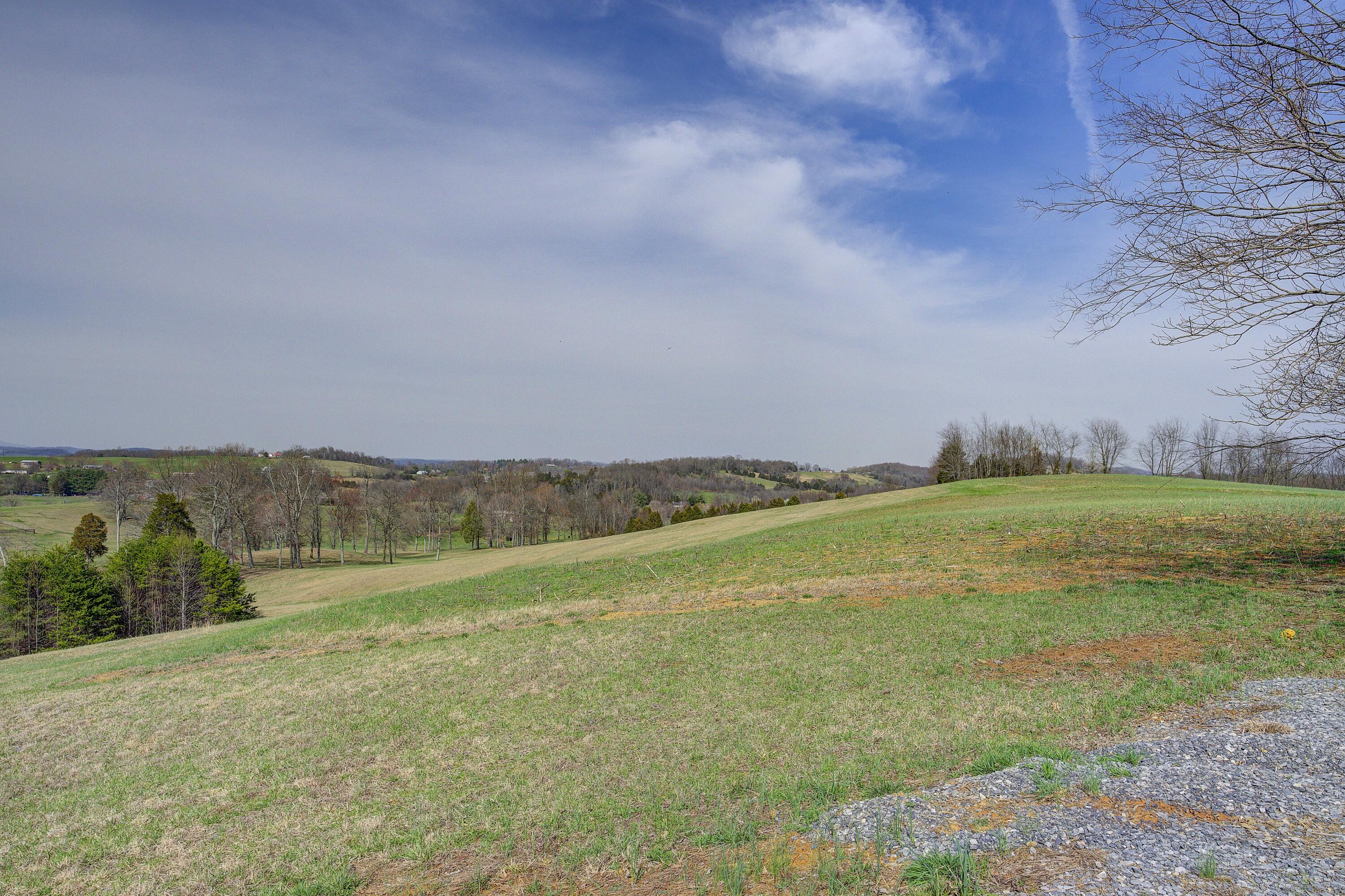 595 Newt Good Road Telford, TN 37690 - Photo 57 of 67 Views 5