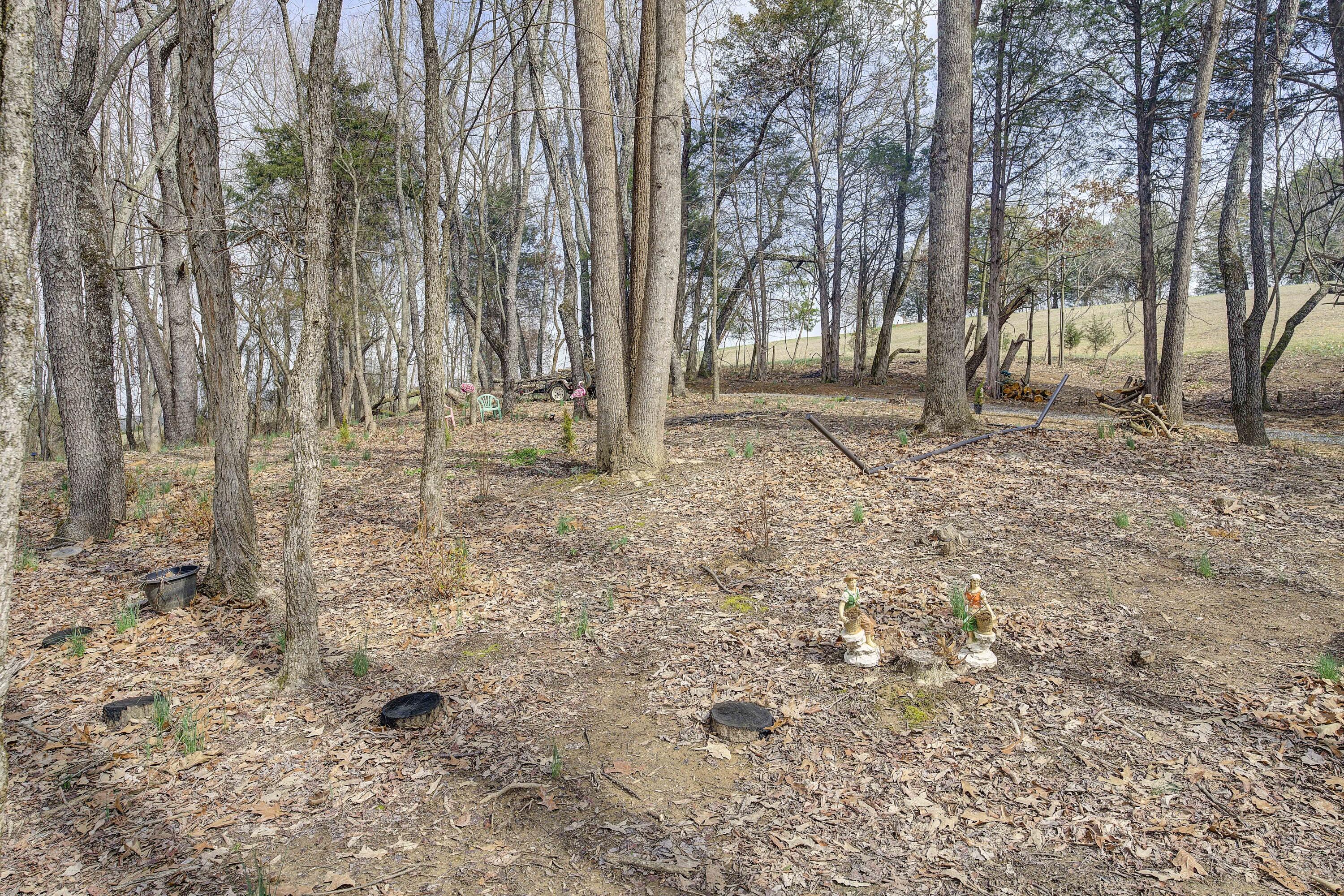 595 Newt Good Road Telford, TN 37690 - Photo 59 of 67 Newt-22