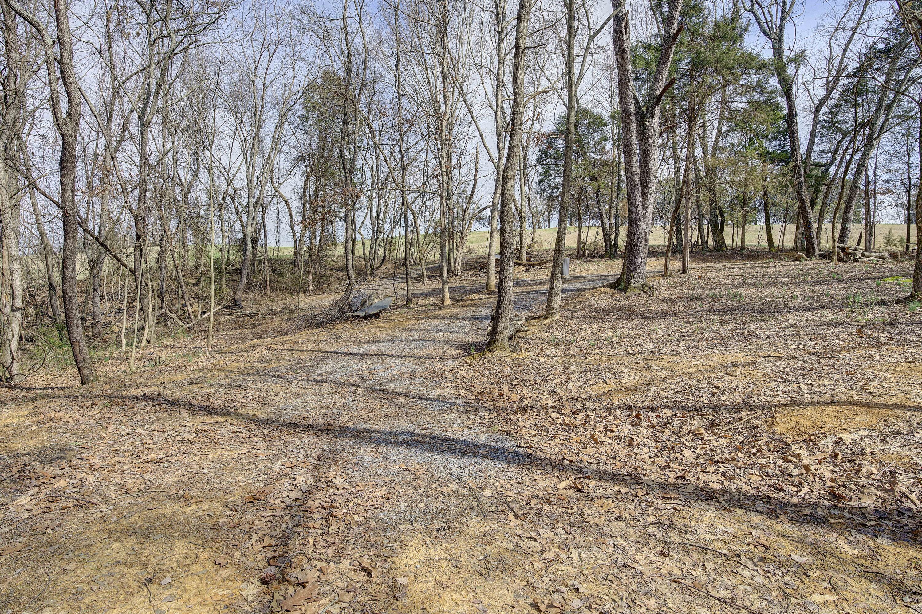 595 Newt Good Road Telford, TN 37690 - Photo 60 of 67 Newt-35