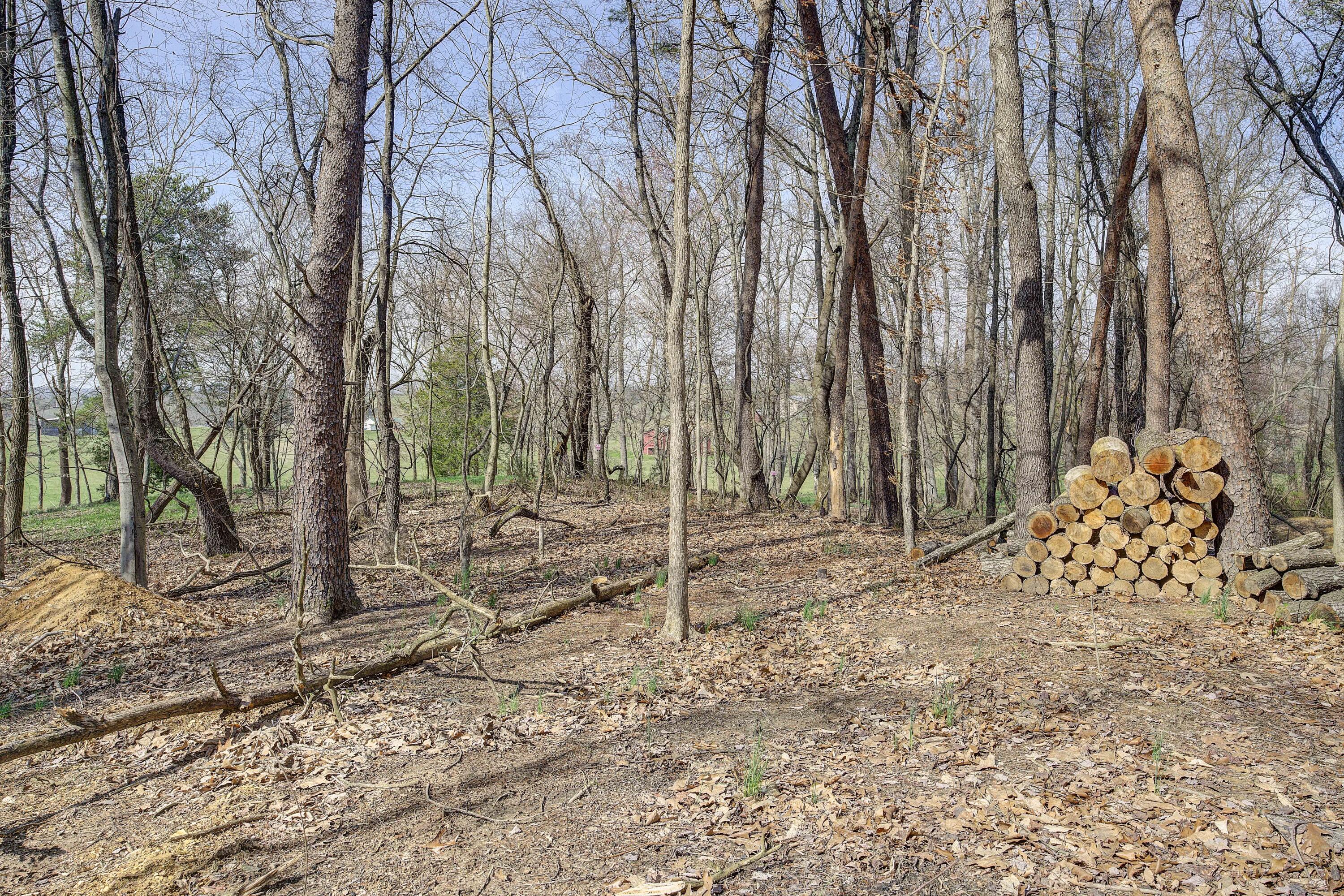595 Newt Good Road Telford, TN 37690 - Photo 61 of 67 Newt-38