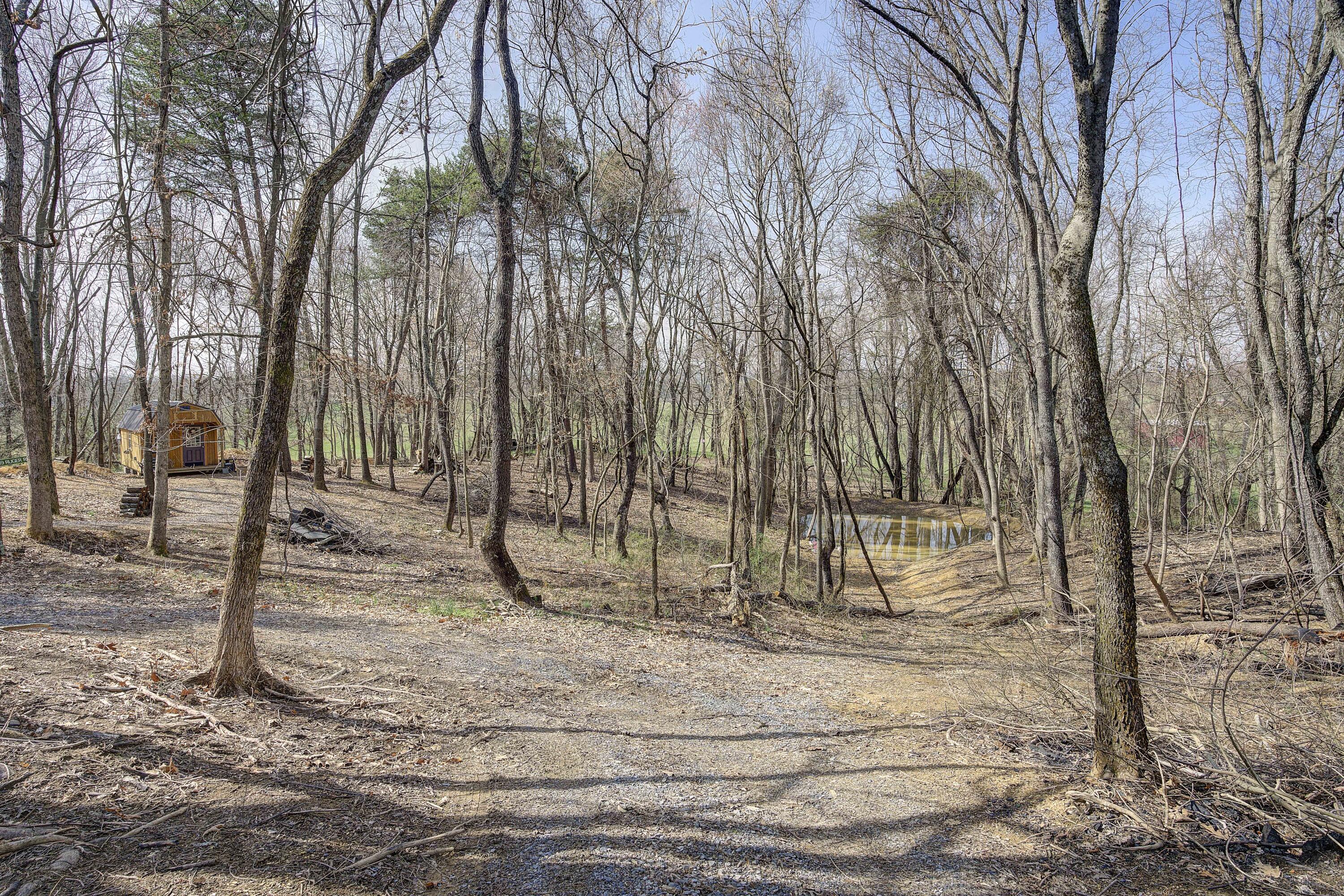 595 Newt Good Road Telford, TN 37690 - Photo 62 of 67 Newt-42