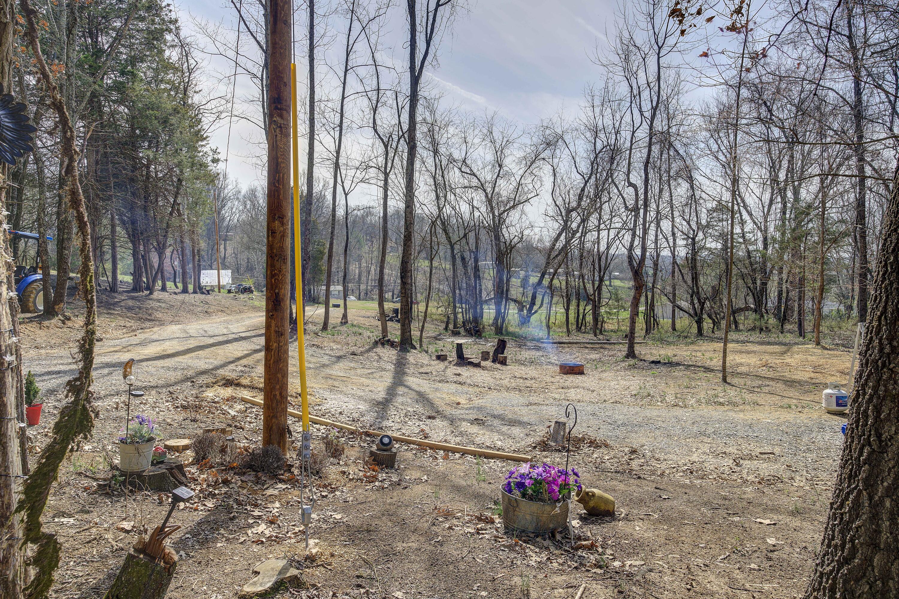 595 Newt Good Road Telford, TN 37690 - Photo 63 of 67 Newt-45