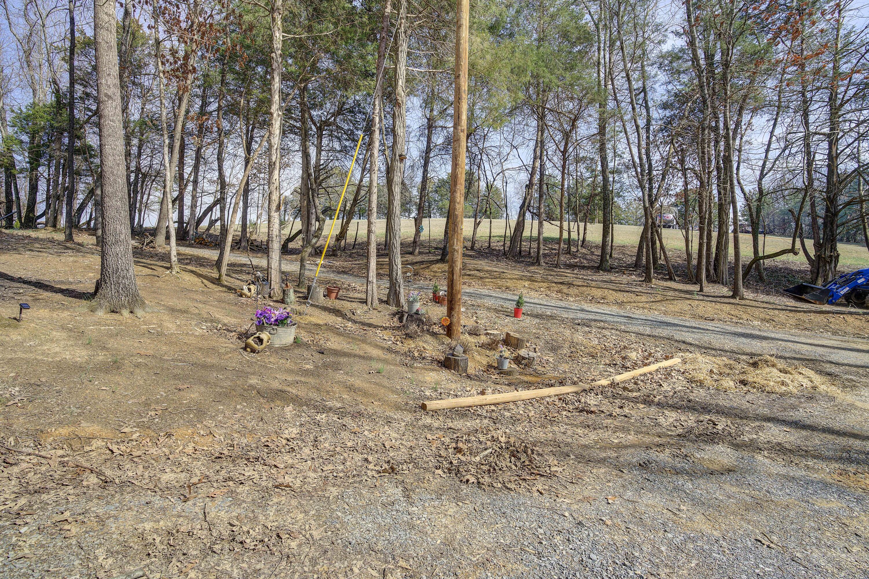 595 Newt Good Road Telford, TN 37690 - Photo 64 of 67 Newt-46