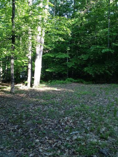 162 Black Point Road St. Albans, ME 04971 - Photo 12 of 17 Photo