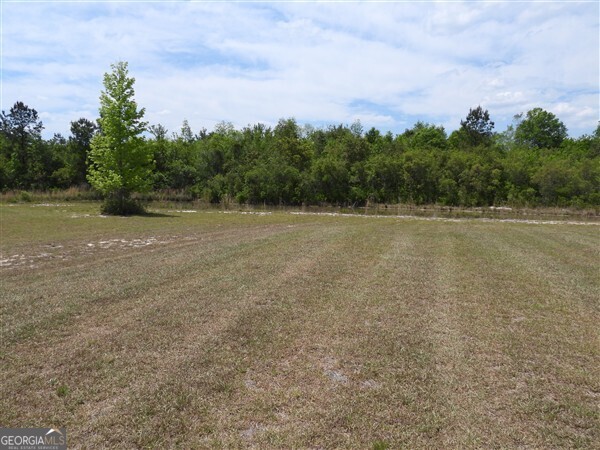 5915 Rye Patch Road Ludowici, GA 31316 - Photo 19 of 25 a view of open space with trees in background
