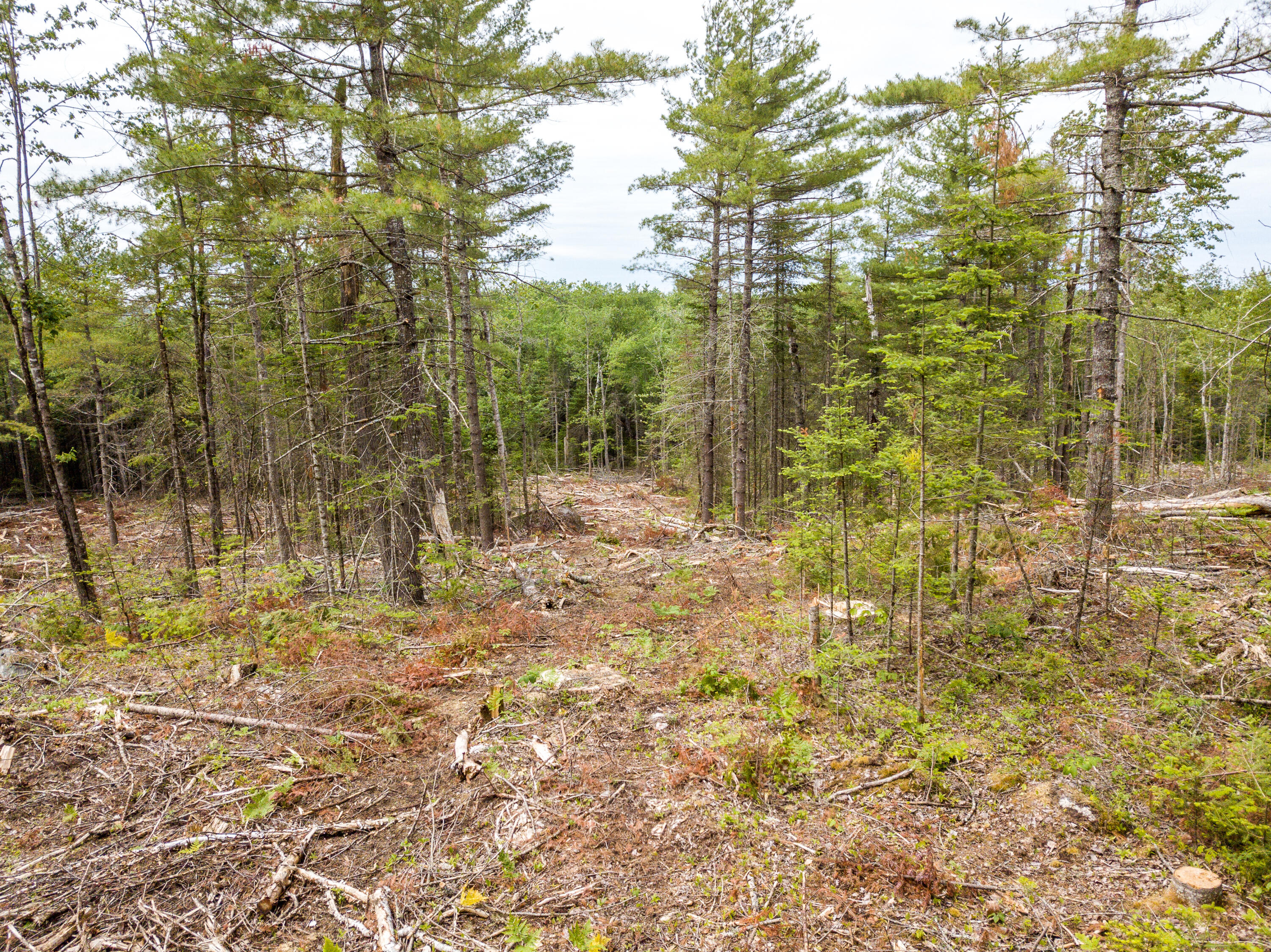 Lot 3 Granite Rock Circle Road Surry, ME 04684 - Photo 2 of 5 Jeff Clarke-25