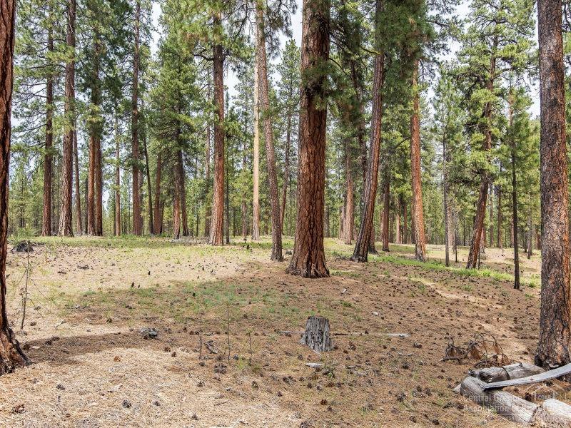 70358 Linnaea Borealis Black Butte Ranch, OR 97759 - Photo 25 of 25 Additional Photo