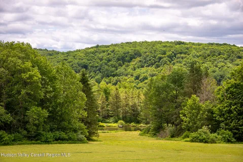$765,000 | 1260 West Peakes Brook Road, Delhi, NY 13753