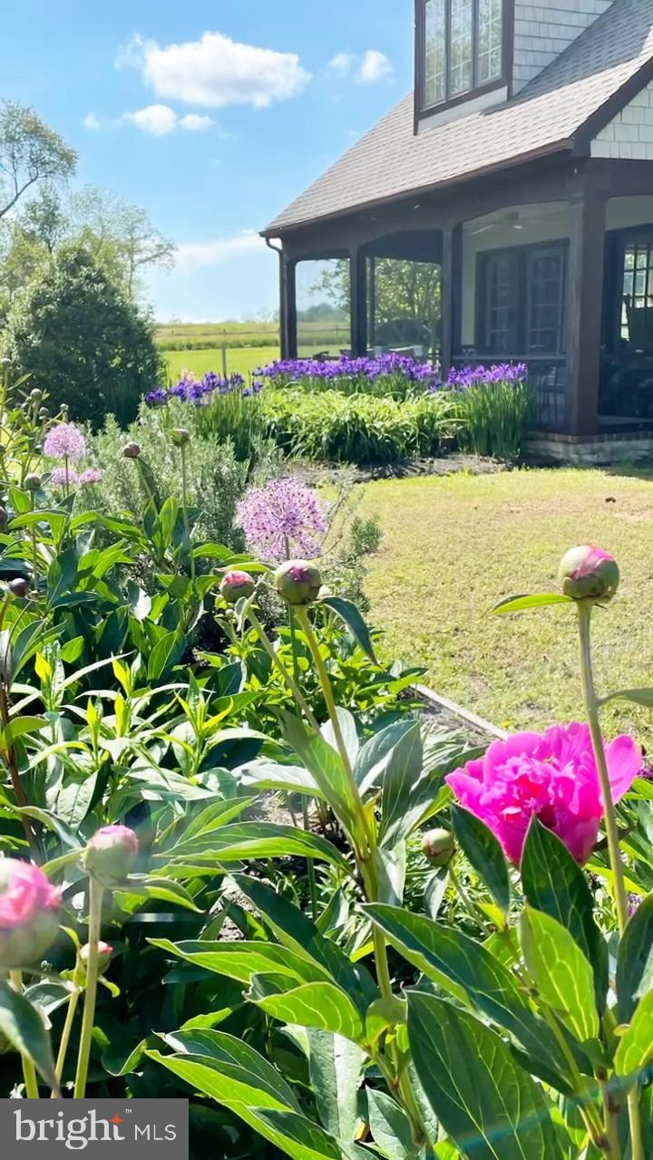 24576 Langford Road Chestertown, MD 21620 - Photo 54 of 60 Spectacular perennials Gardens.