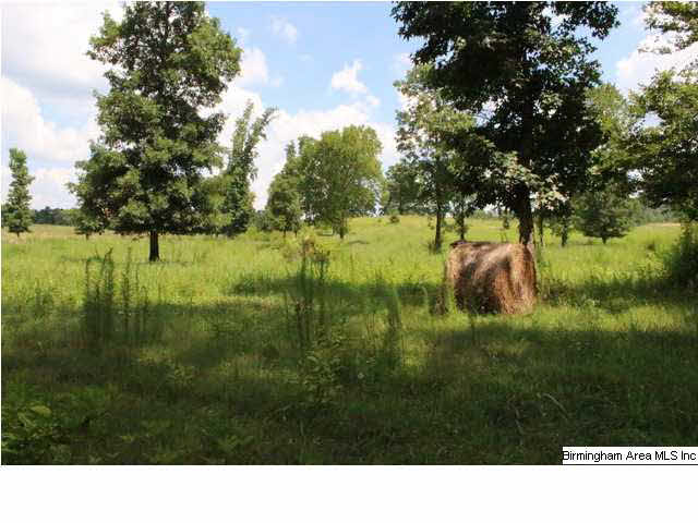 Mudd Street Lincoln, AL 35096 - Photo 20 of 32