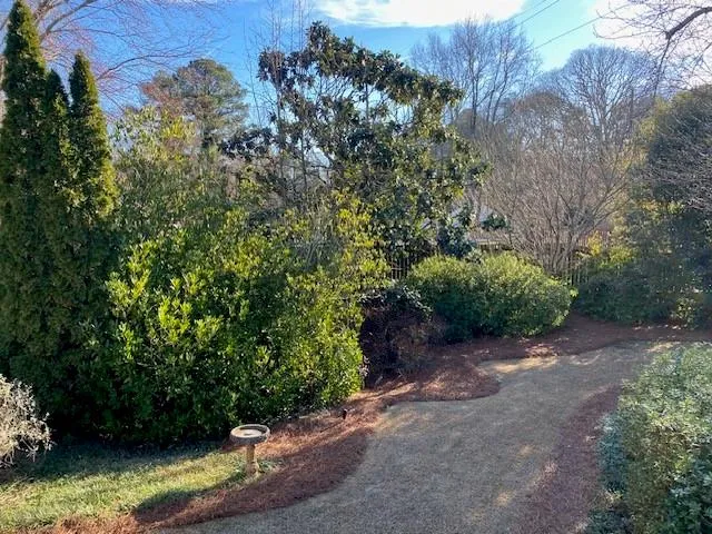 a view of a house with a small yard and plants