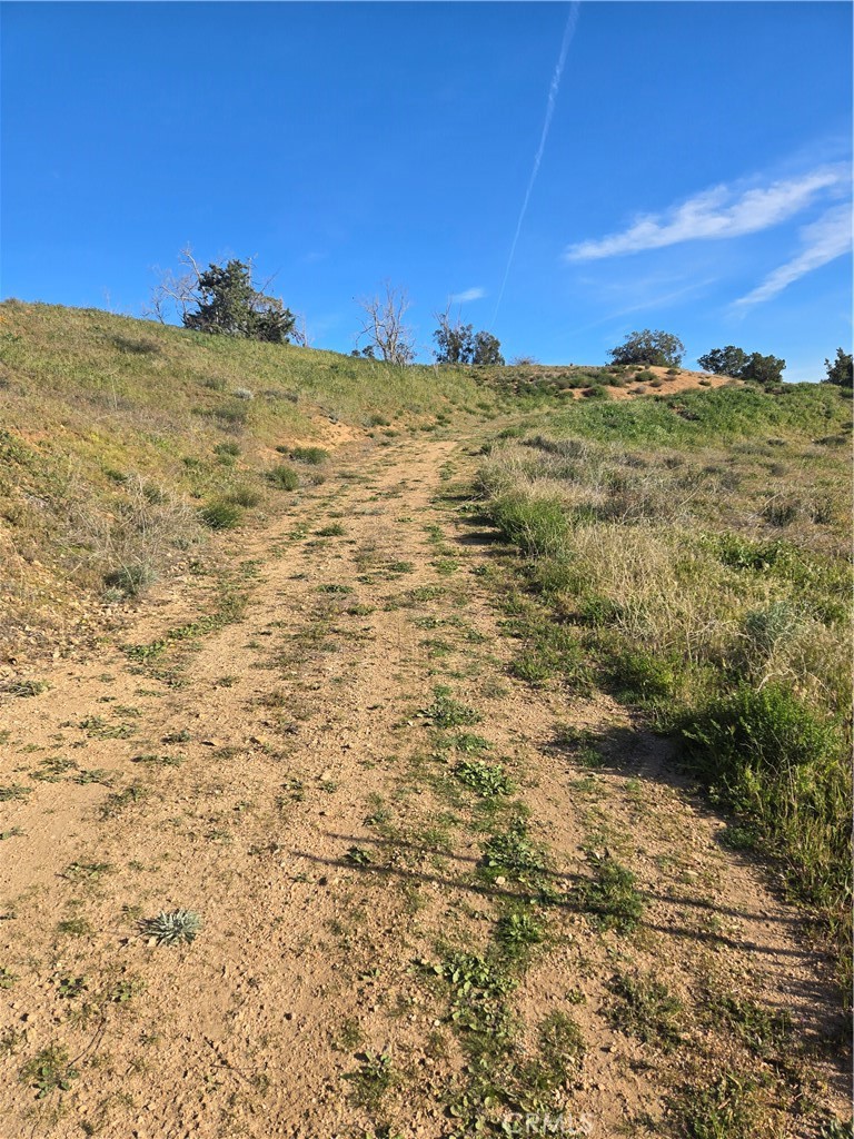 0 Red Rover Acton, CA 93510 - Photo 3 of 9