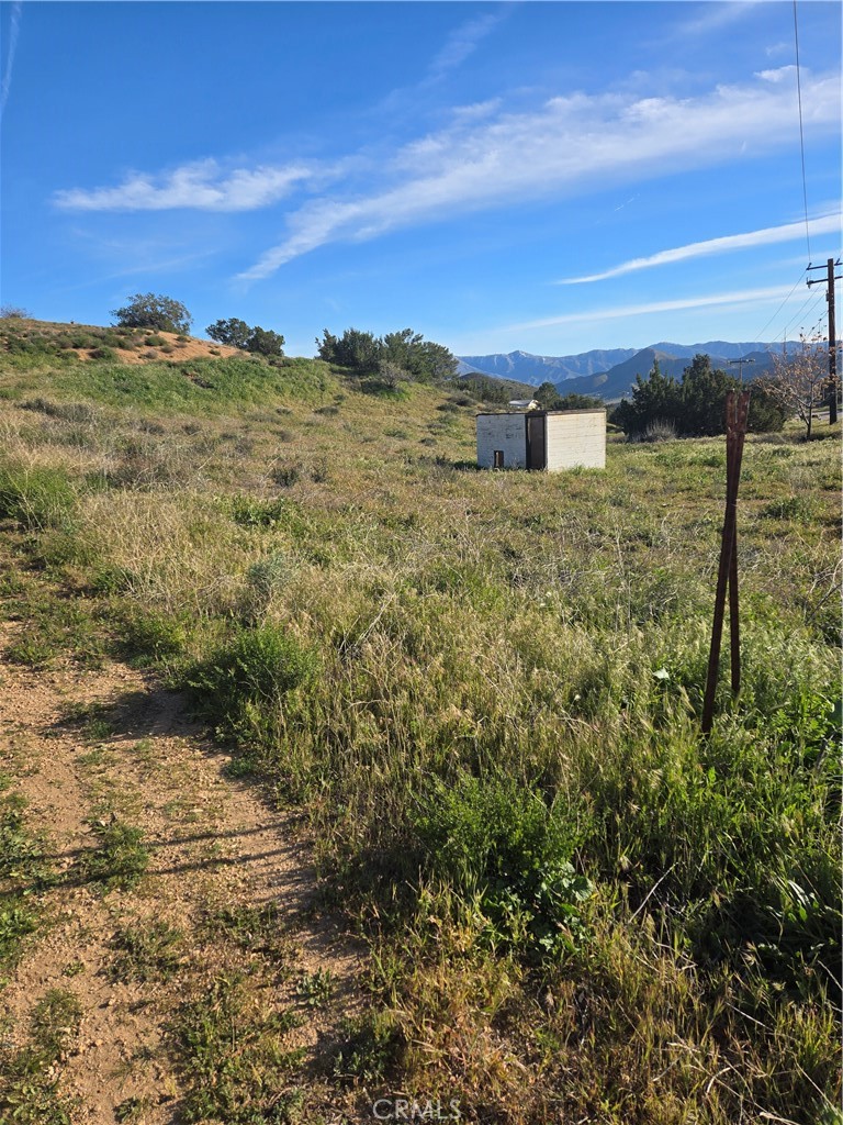 0 Red Rover Acton, CA 93510 - Photo 4 of 9