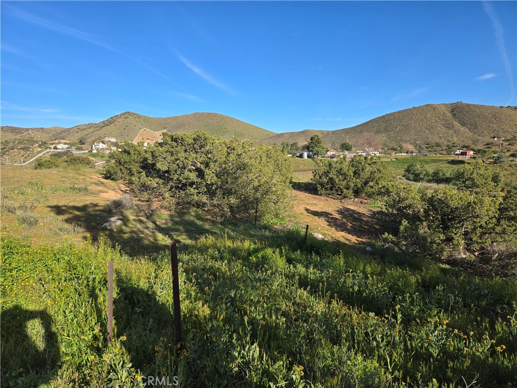 0 Red Rover Acton, CA 93510 - Photo 8 of 9