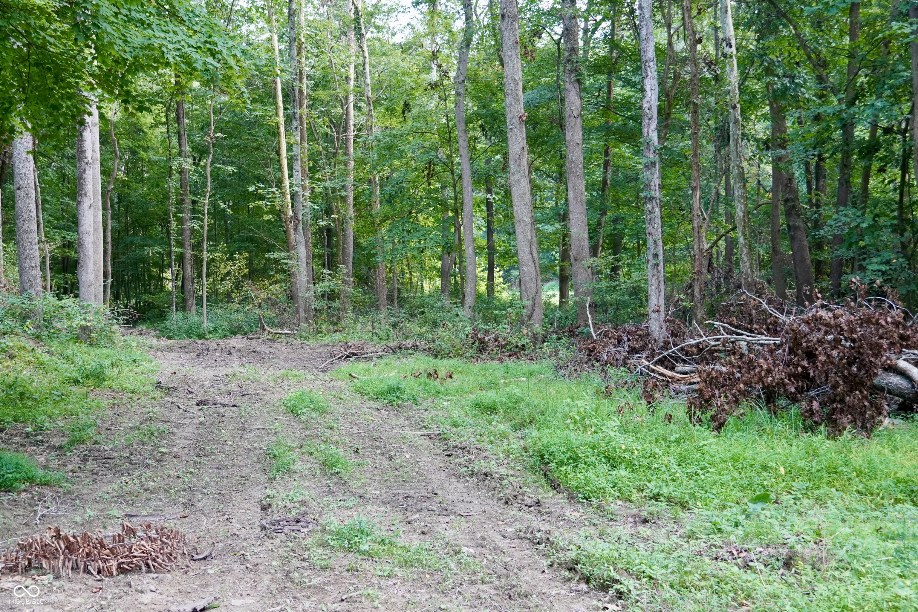 9830 Low Gap Road Martinsville, IN 46151 - Photo 114 of 192 Gallery Image 114