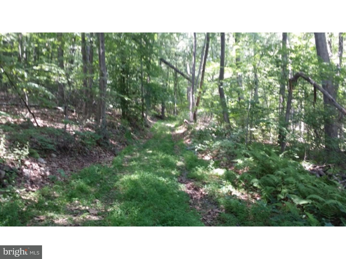 1194 Church Lane Road Reading, PA 19606 - Photo 4 of 5