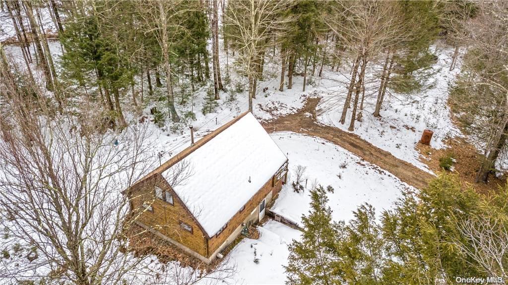 835 Ulster Heights Road Wawarsing, NY 12428 - Photo 17 of 24 a view of swimming pool with a yard