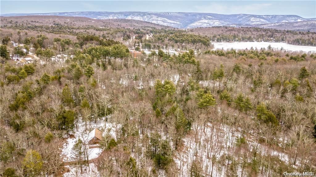 835 Ulster Heights Road Wawarsing, NY 12428 - Photo 21 of 24 a view of a city with mountains in the background
