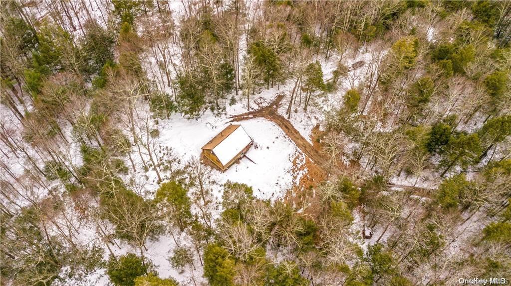 835 Ulster Heights Road Wawarsing, NY 12428 - Photo 23 of 24 a view of tree