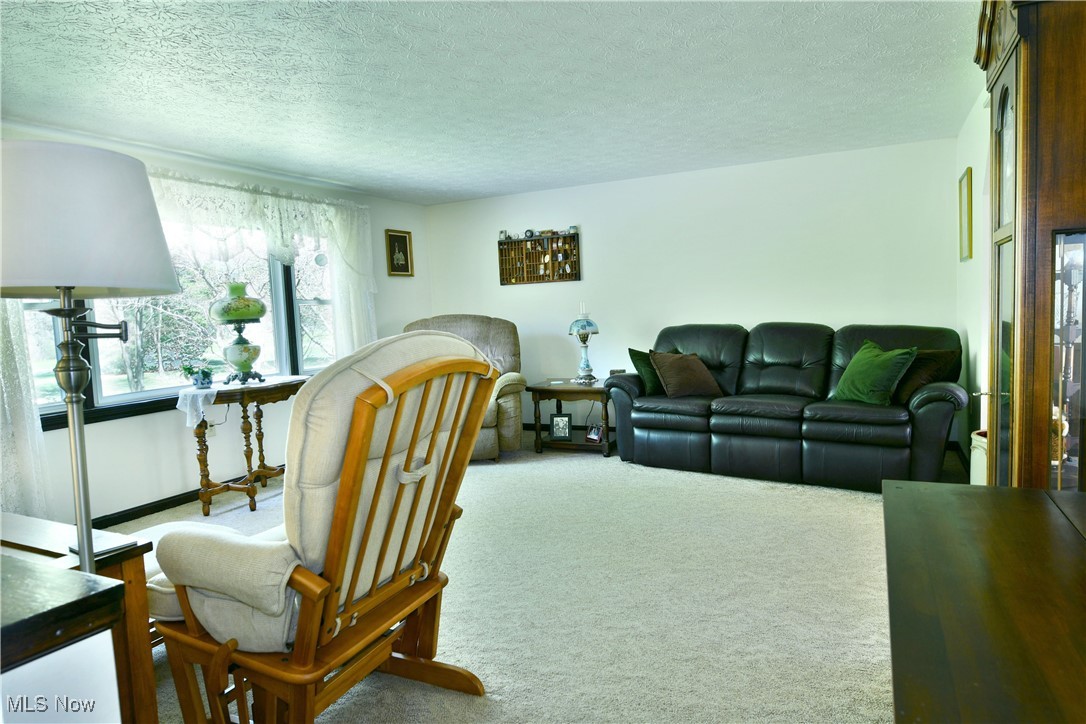 379 Housel Craft Road Bristolville, OH 44402 - Photo 19 of 50 Living area featuring a textured ceiling and carpet