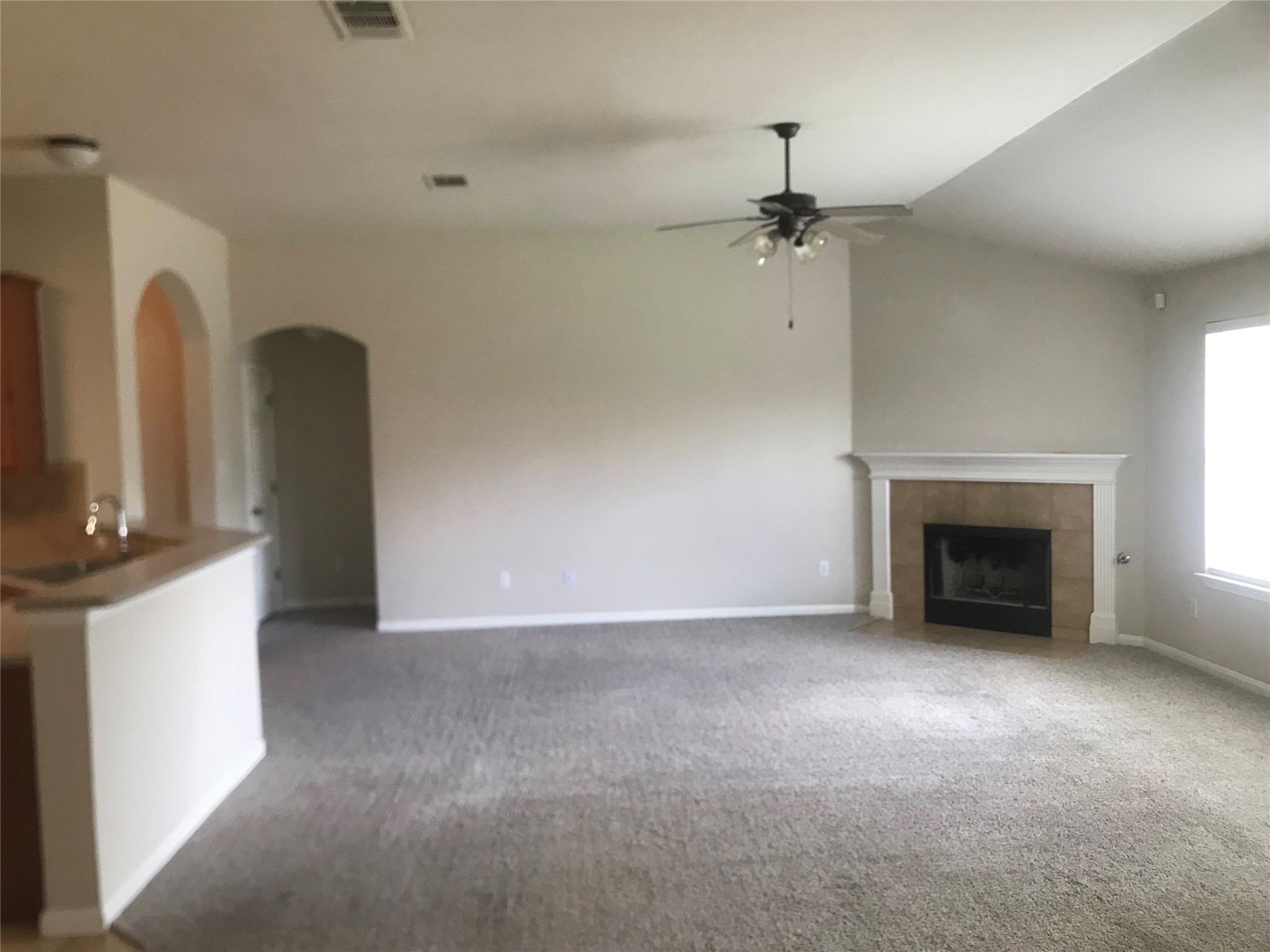 913 Rochester Castle Way Pflugerville, TX 78660 - Photo 5 of 25 A spacious living room features a cozy fireplace and vaulted ceilings.