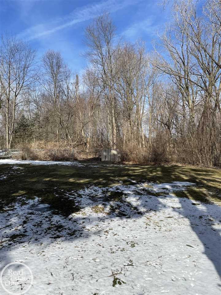 47467 Sugarbush Road Chesterfield, MI 48047 - Photo 5 of 24