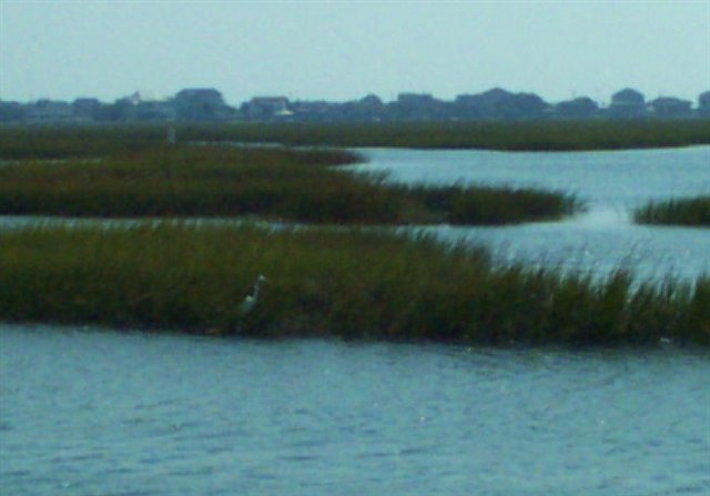 Lot 46 Westmore Court Murrells Inlet, SC 29576 - Photo 14 of 15 Gallery Image 14