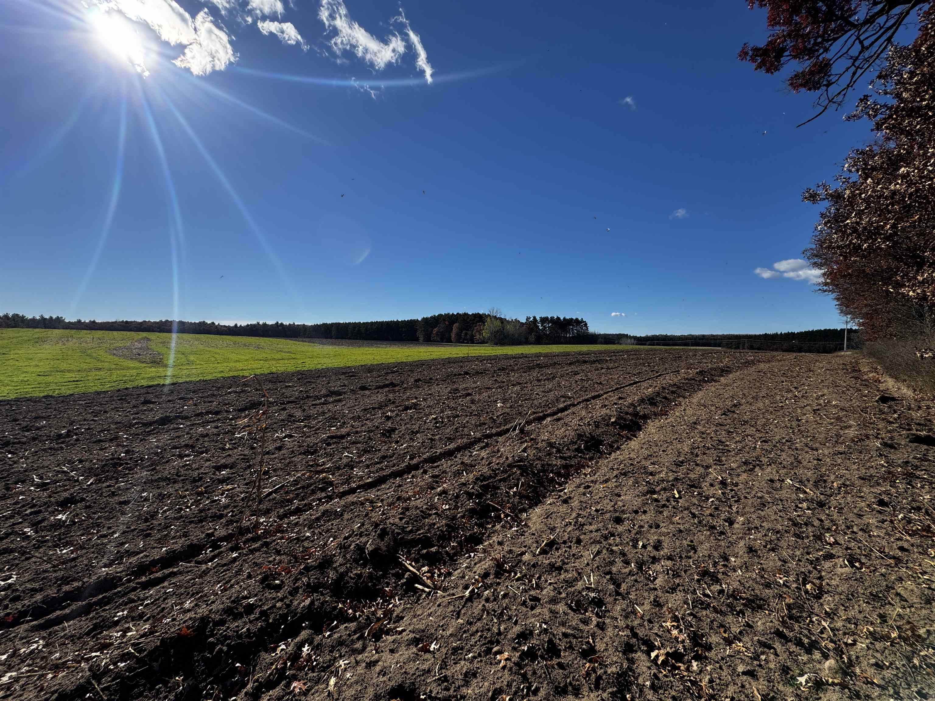 10061 Flume Road Rosholt, WI 54473 - Photo 17 of 52