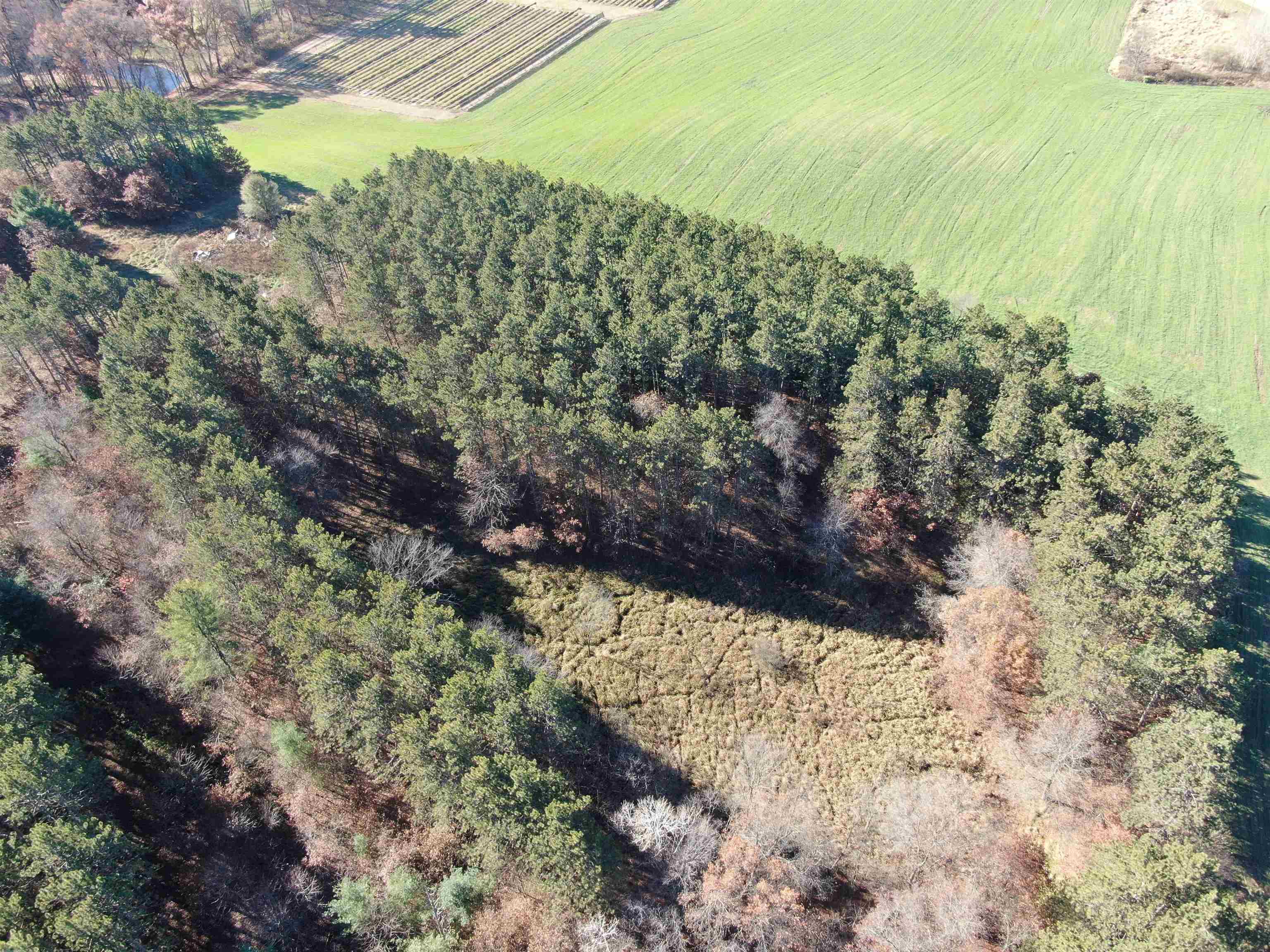 10061 Flume Road Rosholt, WI 54473 - Photo 20 of 52