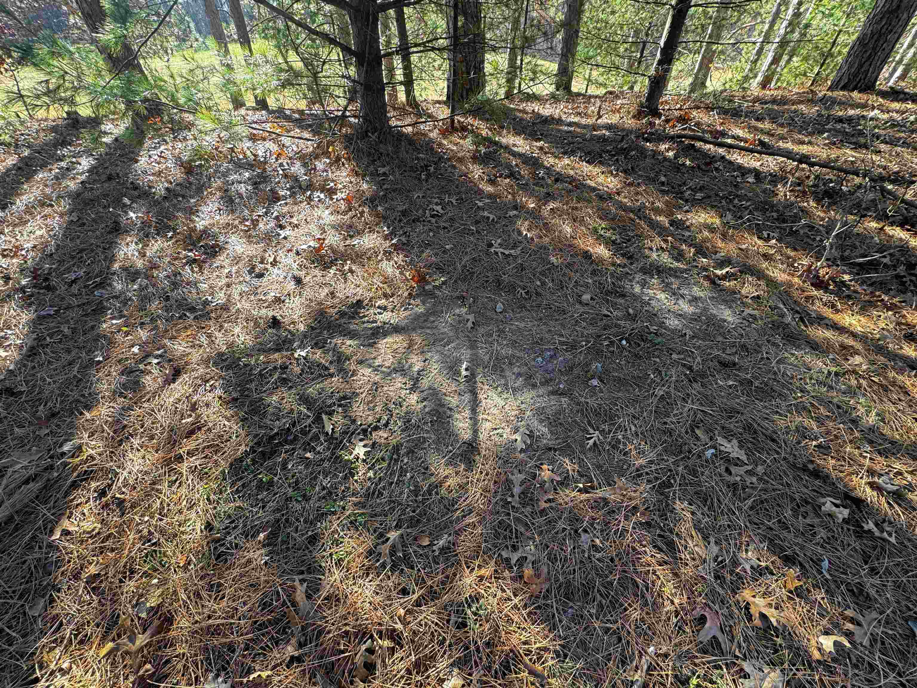 10061 Flume Road Rosholt, WI 54473 - Photo 22 of 52