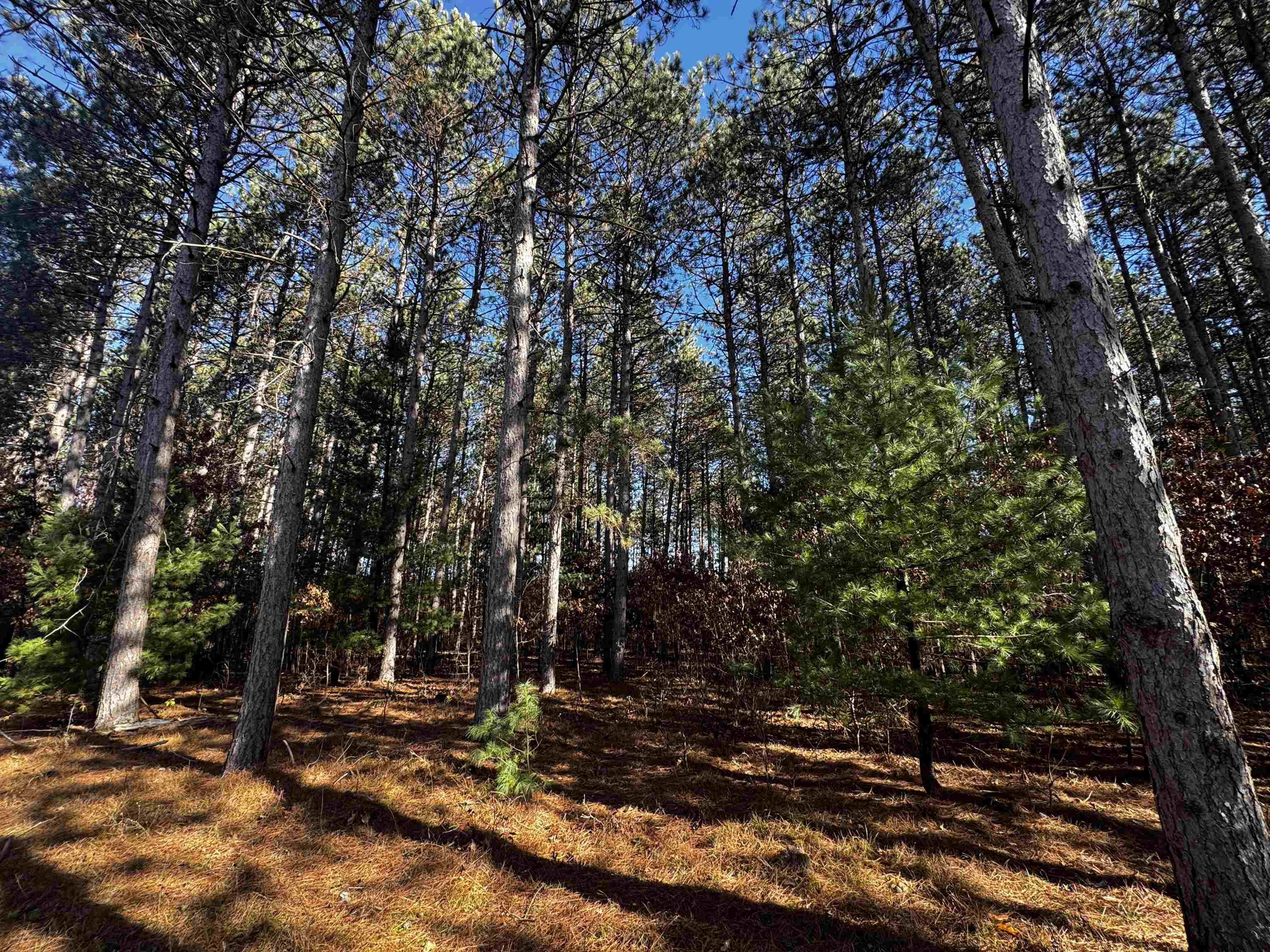 10061 Flume Road Rosholt, WI 54473 - Photo 25 of 52