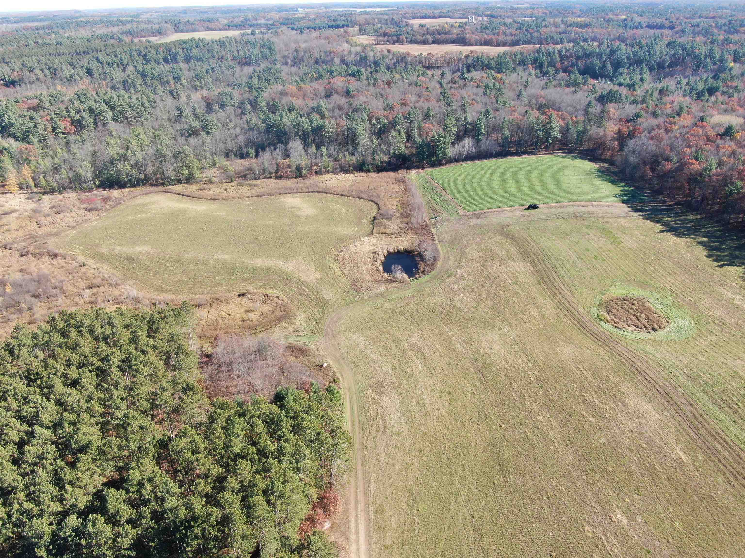 10061 Flume Road Rosholt, WI 54473 - Photo 30 of 52
