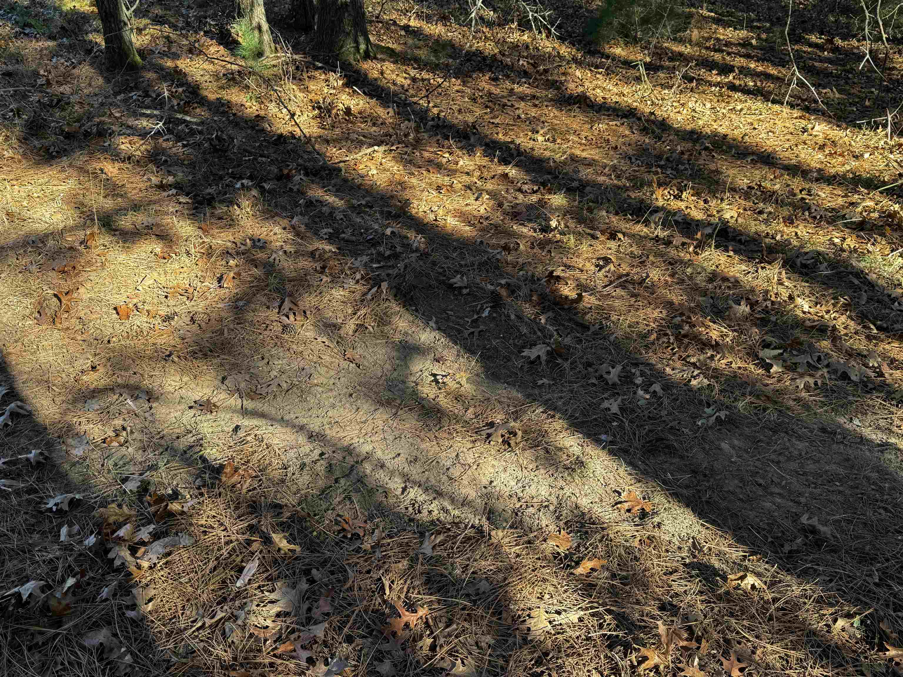 10061 Flume Road Rosholt, WI 54473 - Photo 38 of 52