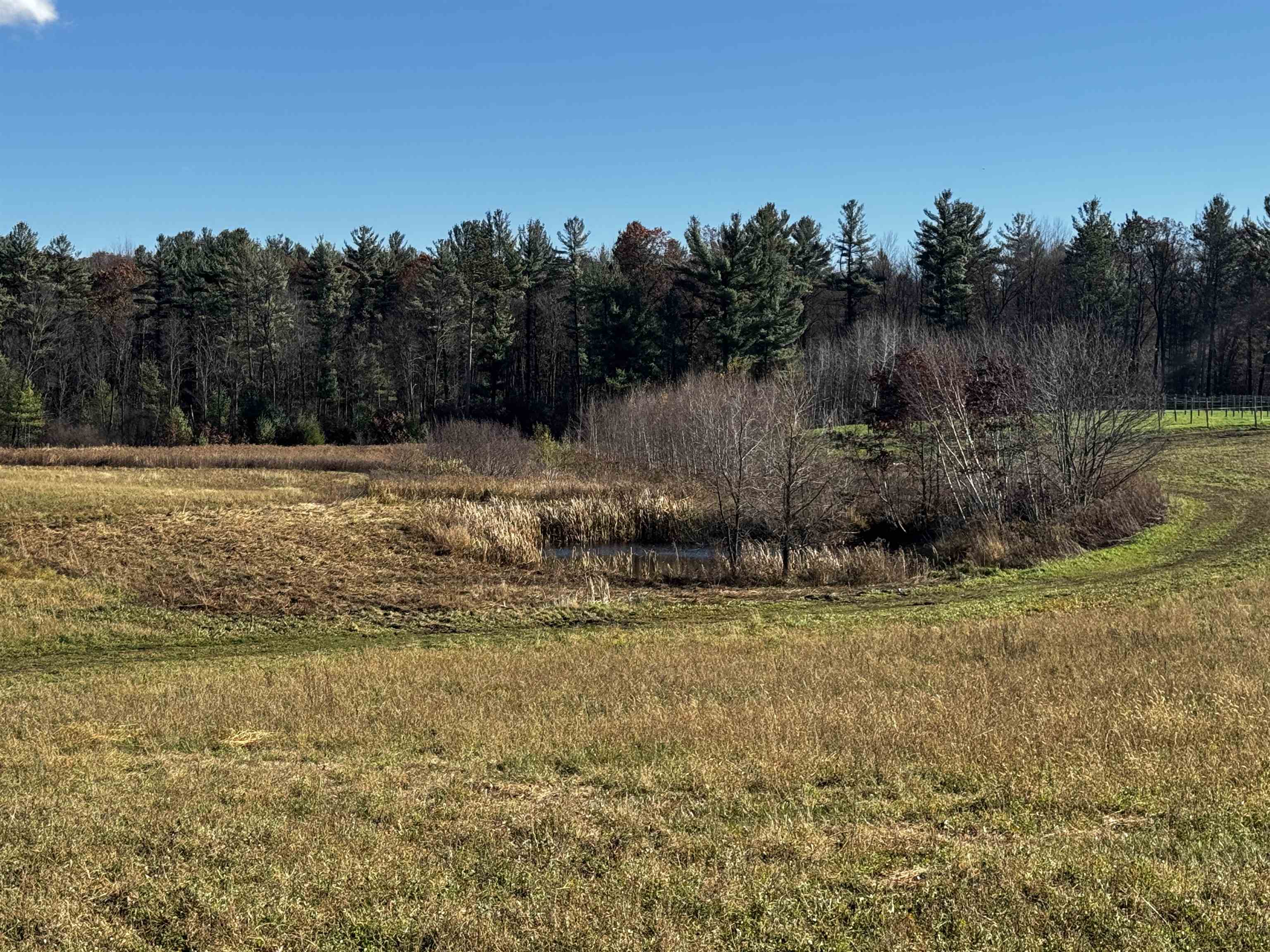 10061 Flume Road Rosholt, WI 54473 - Photo 40 of 52