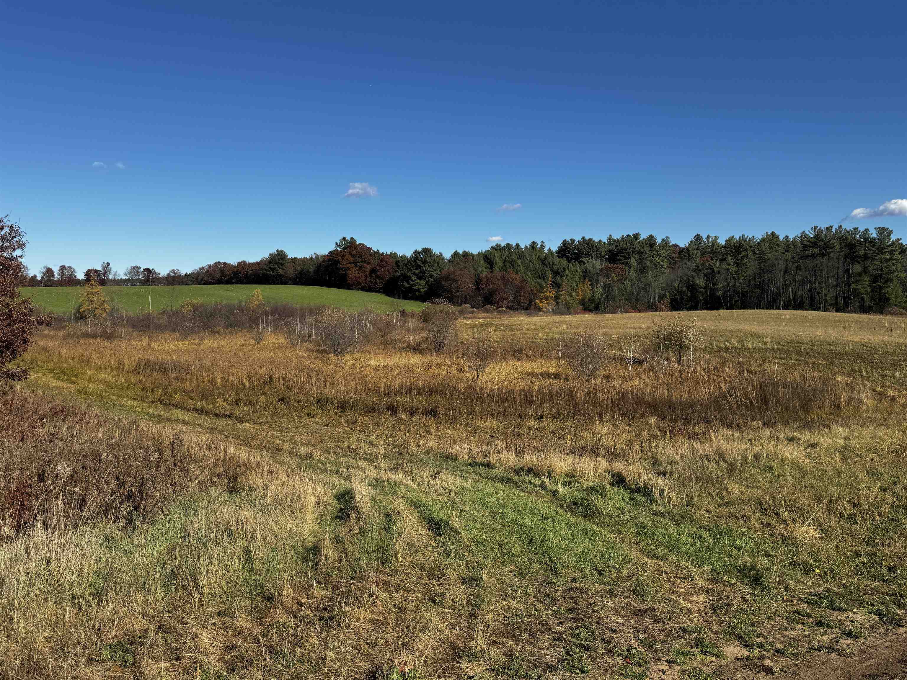 10061 Flume Road Rosholt, WI 54473 - Photo 41 of 52