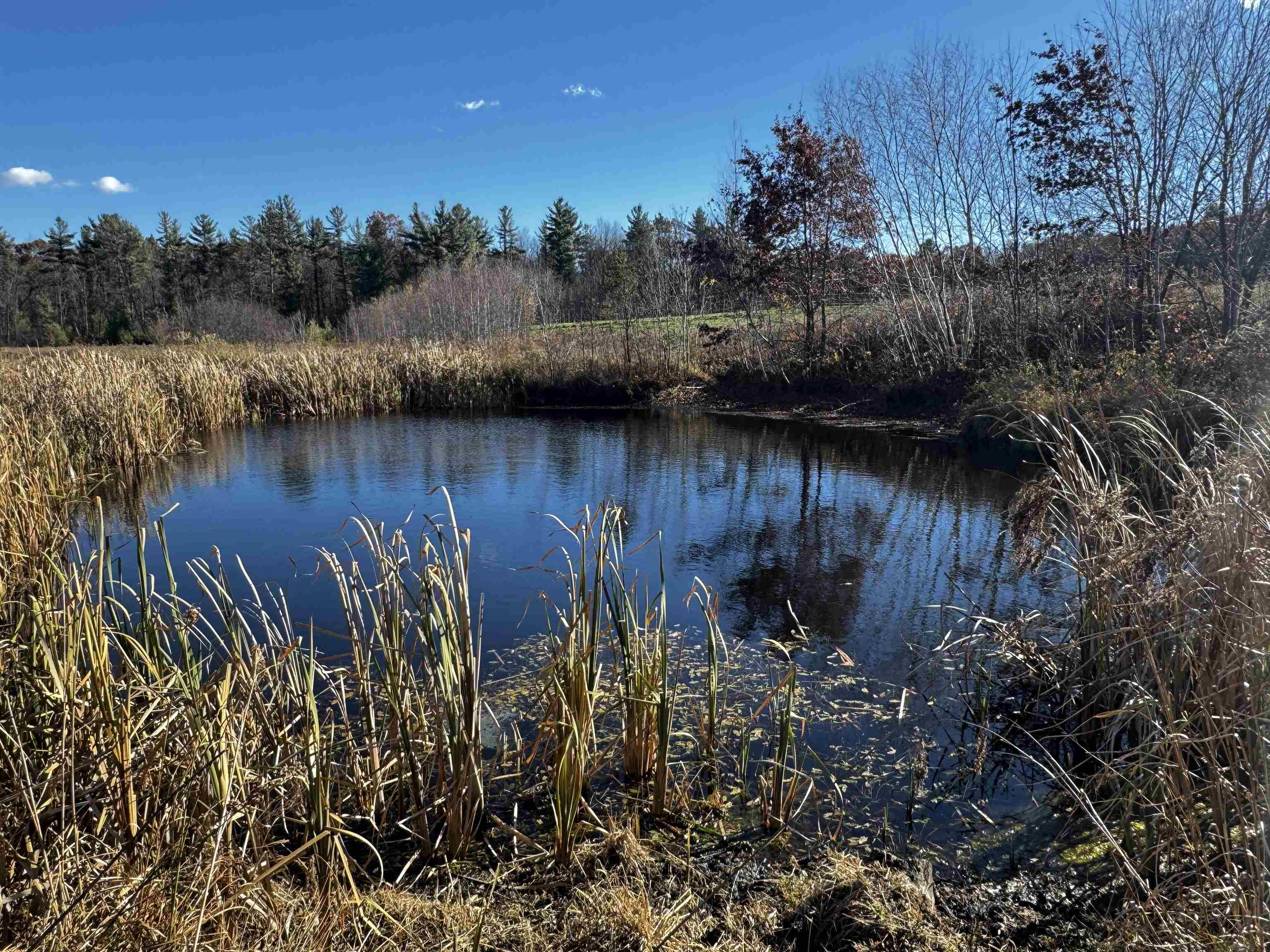 10061 Flume Road Rosholt, WI 54473 - Photo 43 of 52