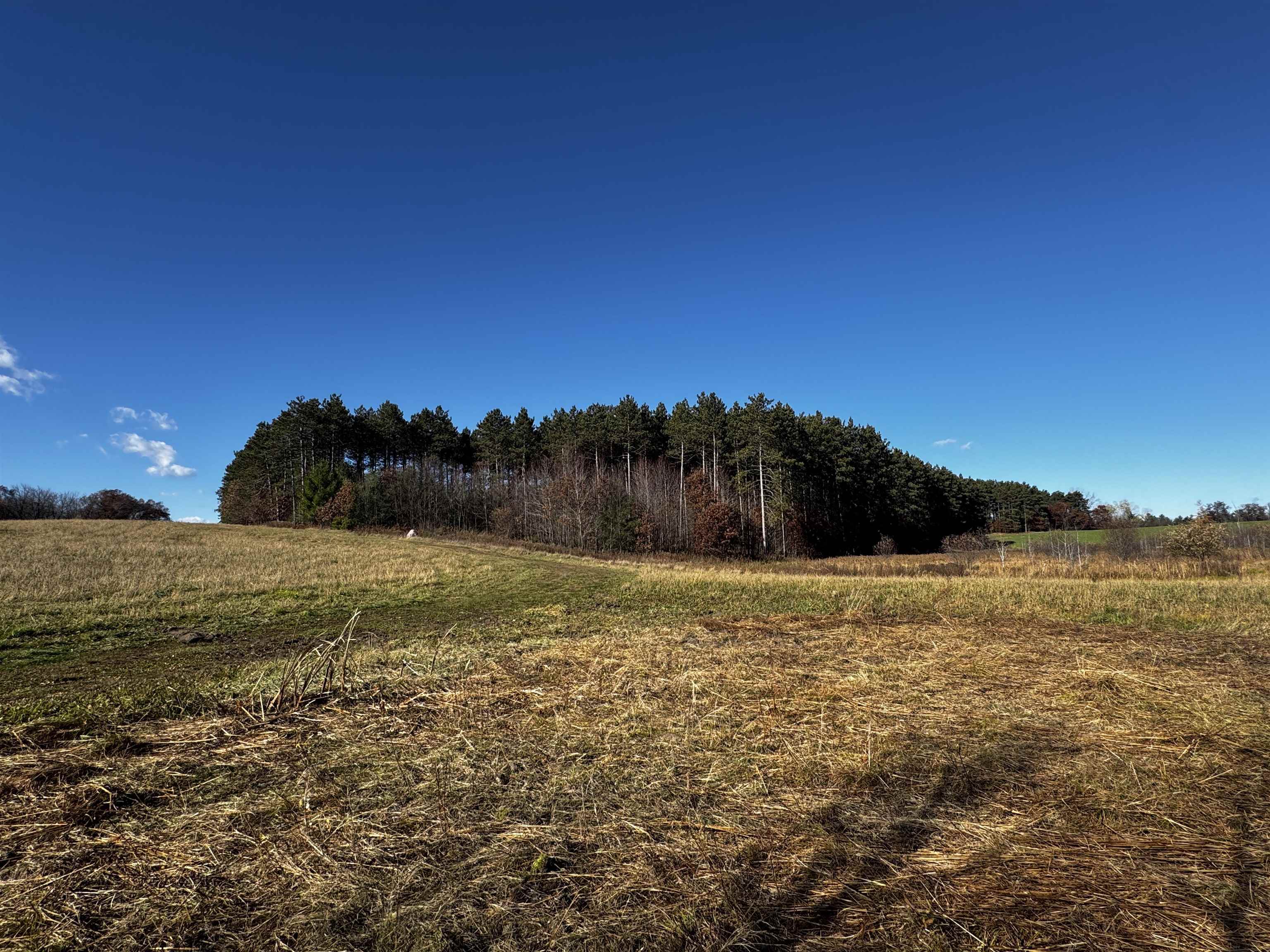 10061 Flume Road Rosholt, WI 54473 - Photo 44 of 52