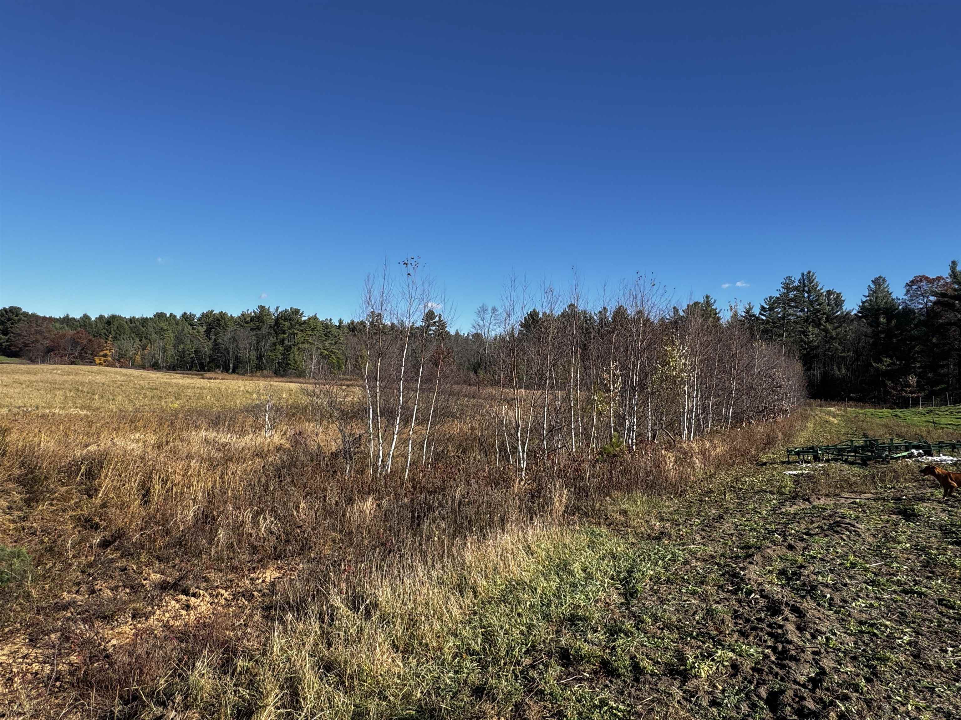 10061 Flume Road Rosholt, WI 54473 - Photo 47 of 52