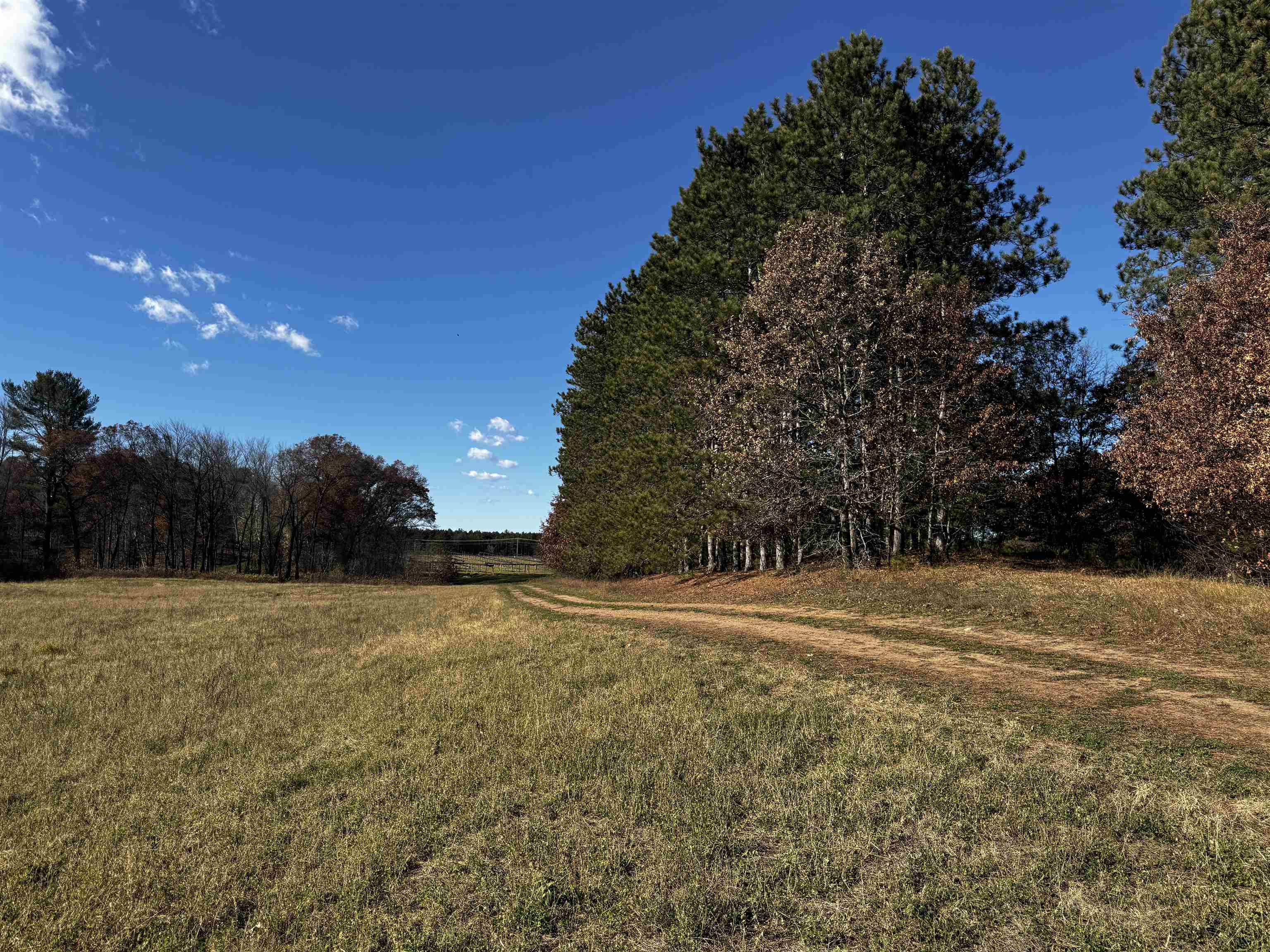 10061 Flume Road Rosholt, WI 54473 - Photo 49 of 52