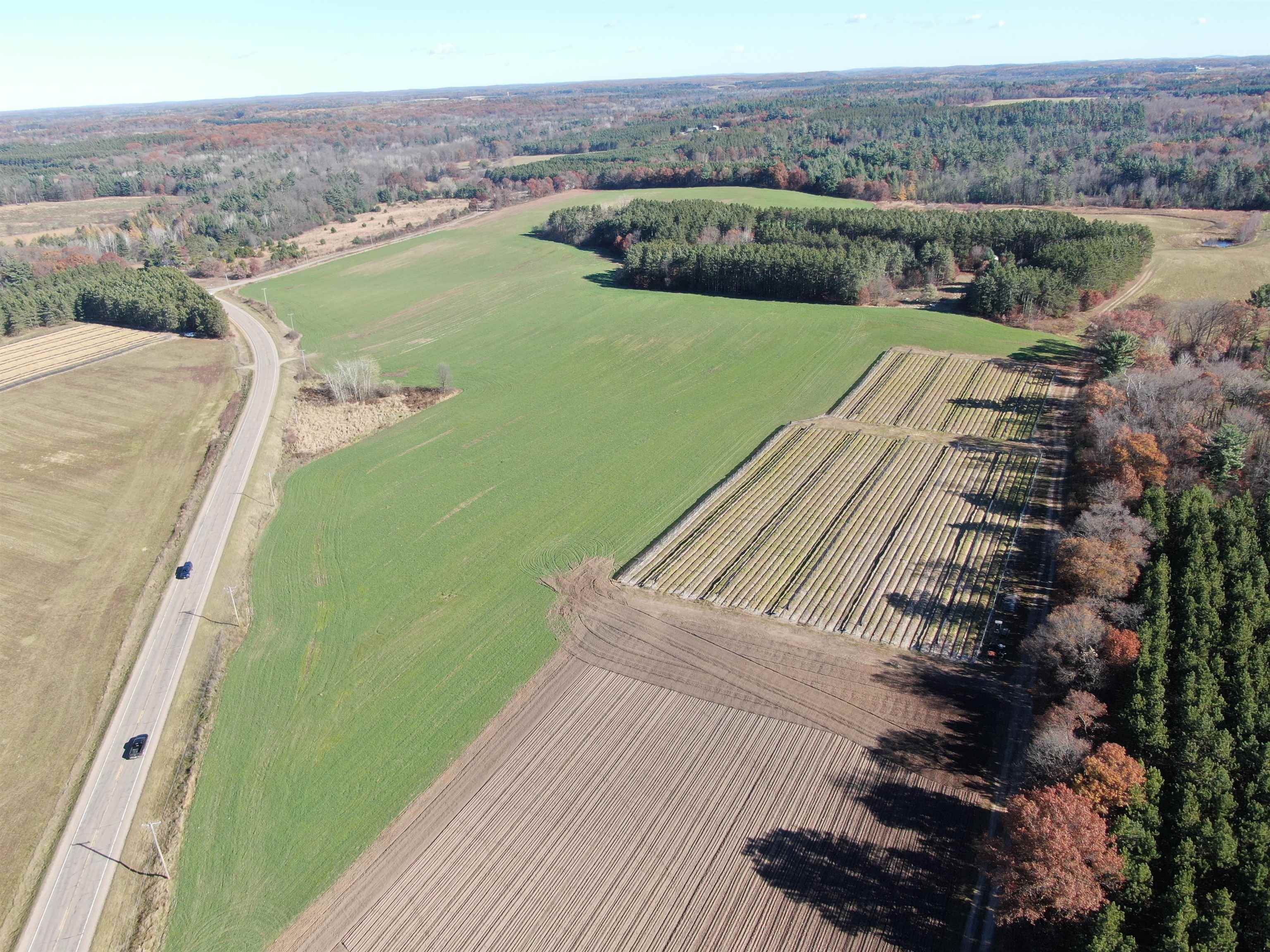 10061 Flume Road Rosholt, WI 54473 - Photo 5 of 52