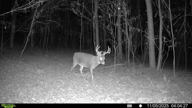 10061 Flume Road Rosholt, WI 54473 - Photo 51 of 52