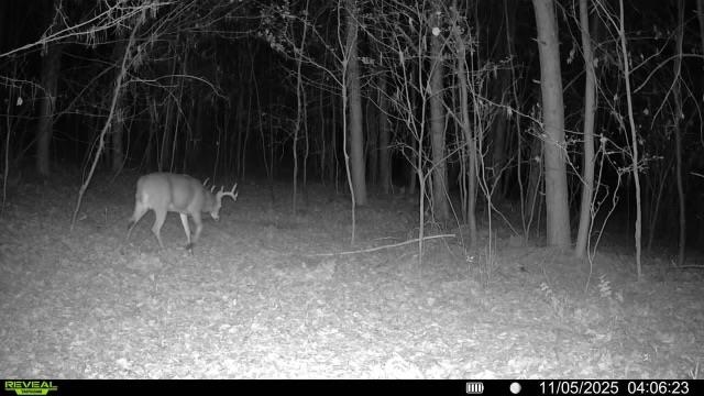 10061 Flume Road Rosholt, WI 54473 - Photo 52 of 52