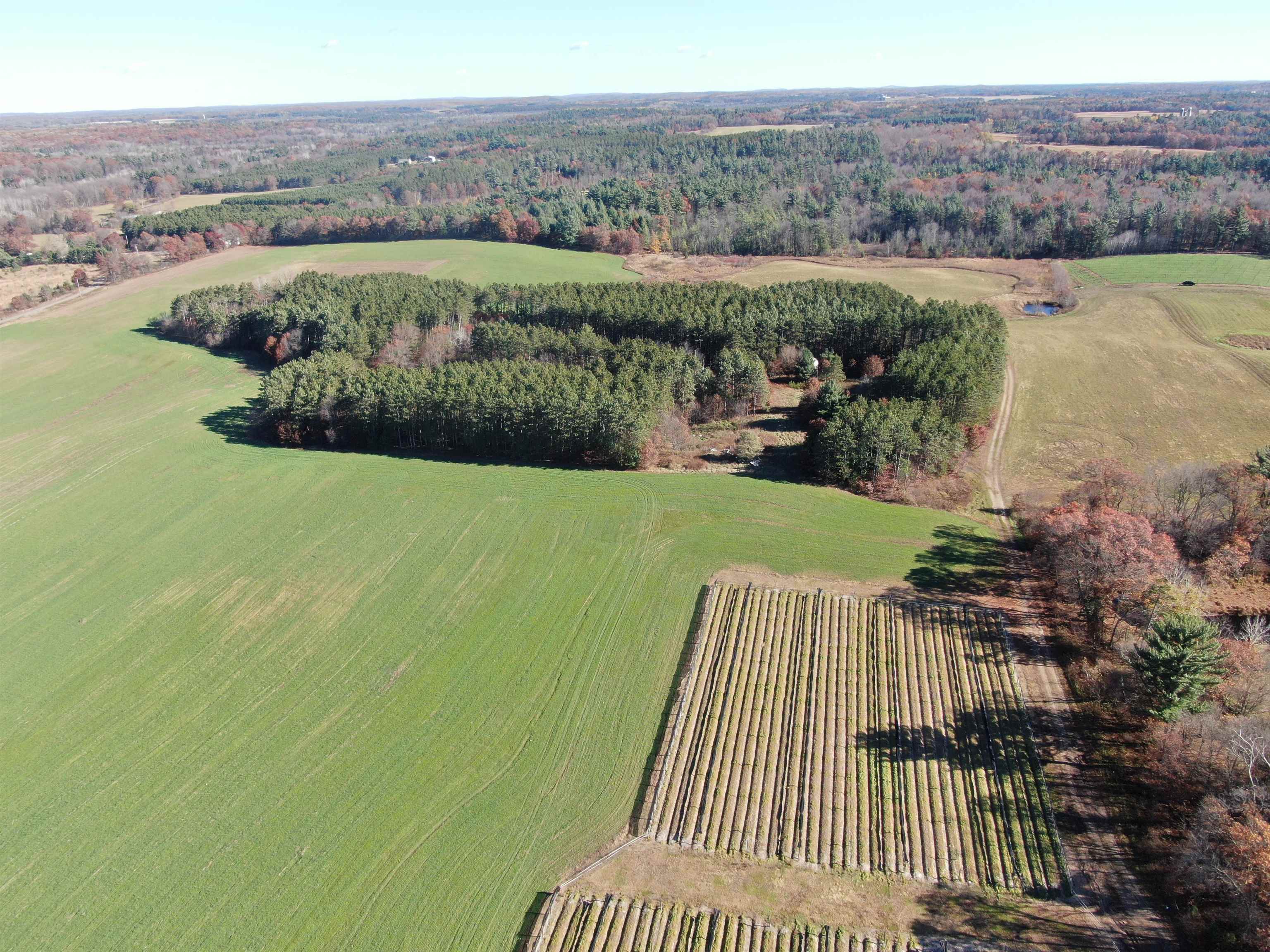 10061 Flume Road Rosholt, WI 54473 - Photo 6 of 52