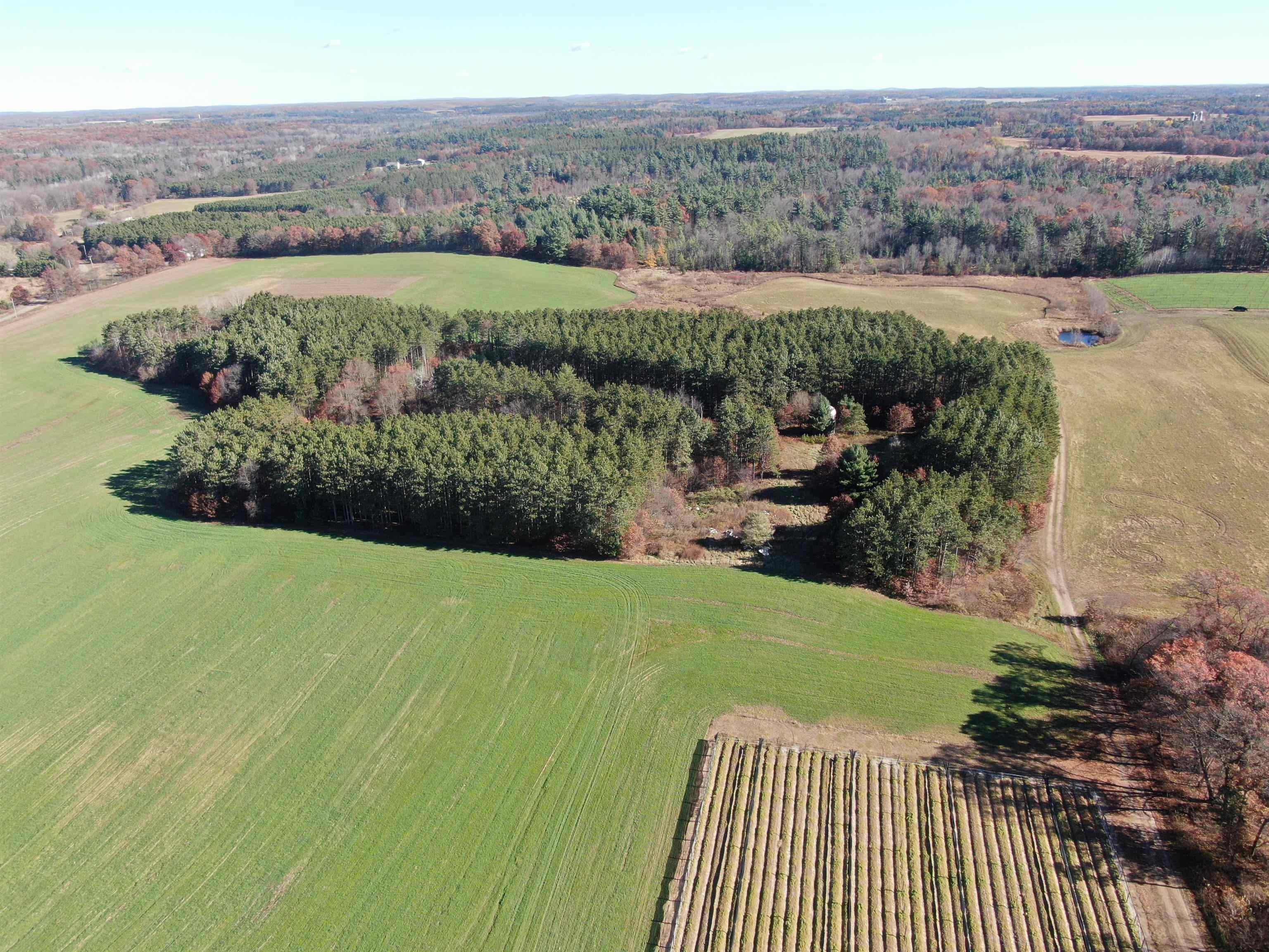 10061 Flume Road Rosholt, WI 54473 - Photo 7 of 52