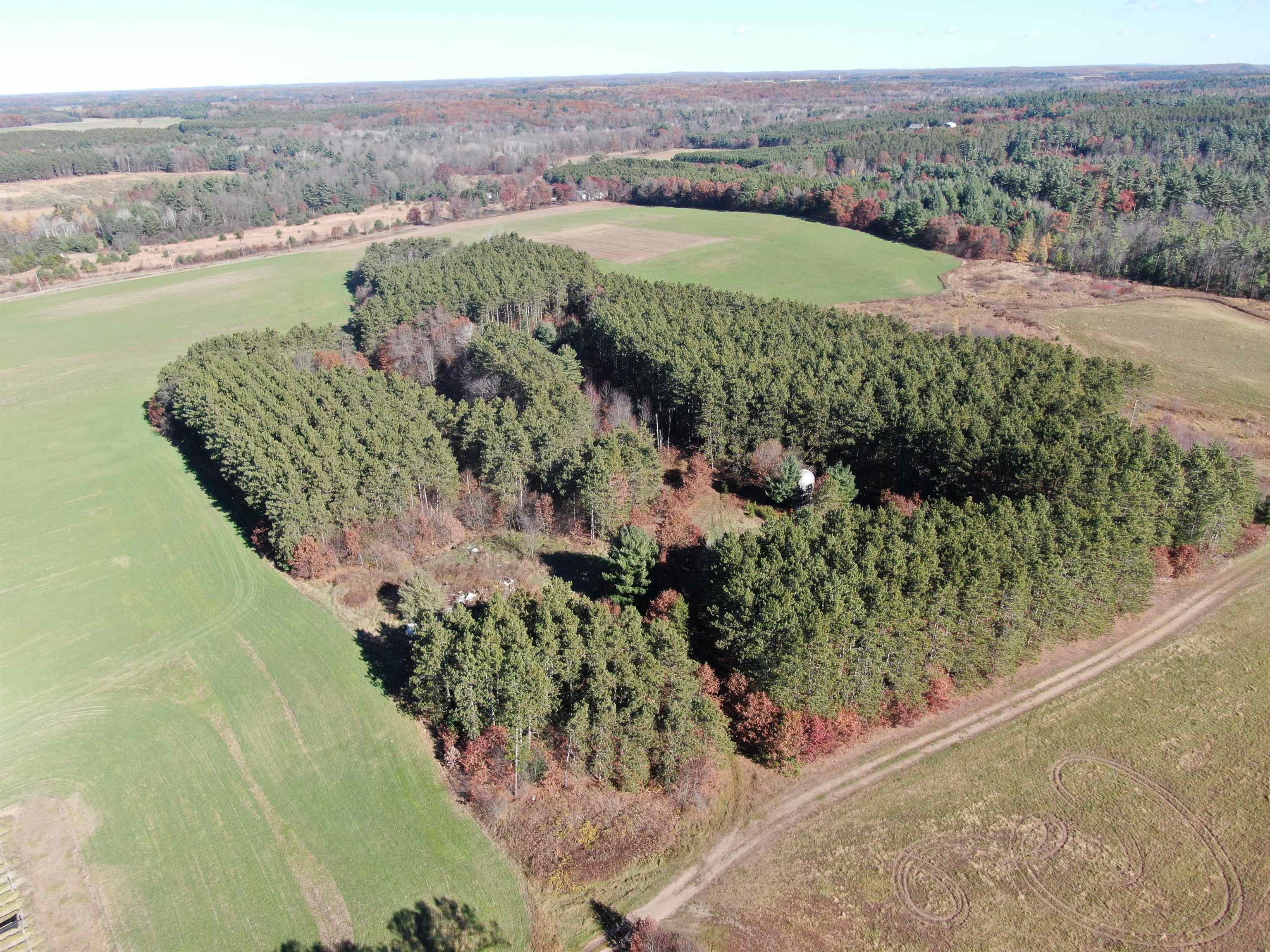 10061 Flume Road Rosholt, WI 54473 - Photo 8 of 52