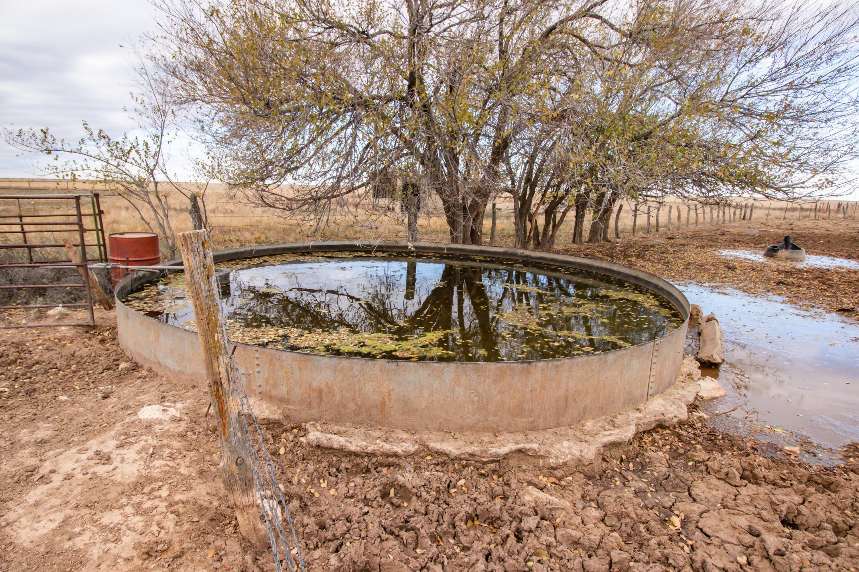 800 South Blessen Road Canyon, TX 79015 - Photo 16 of 34 16