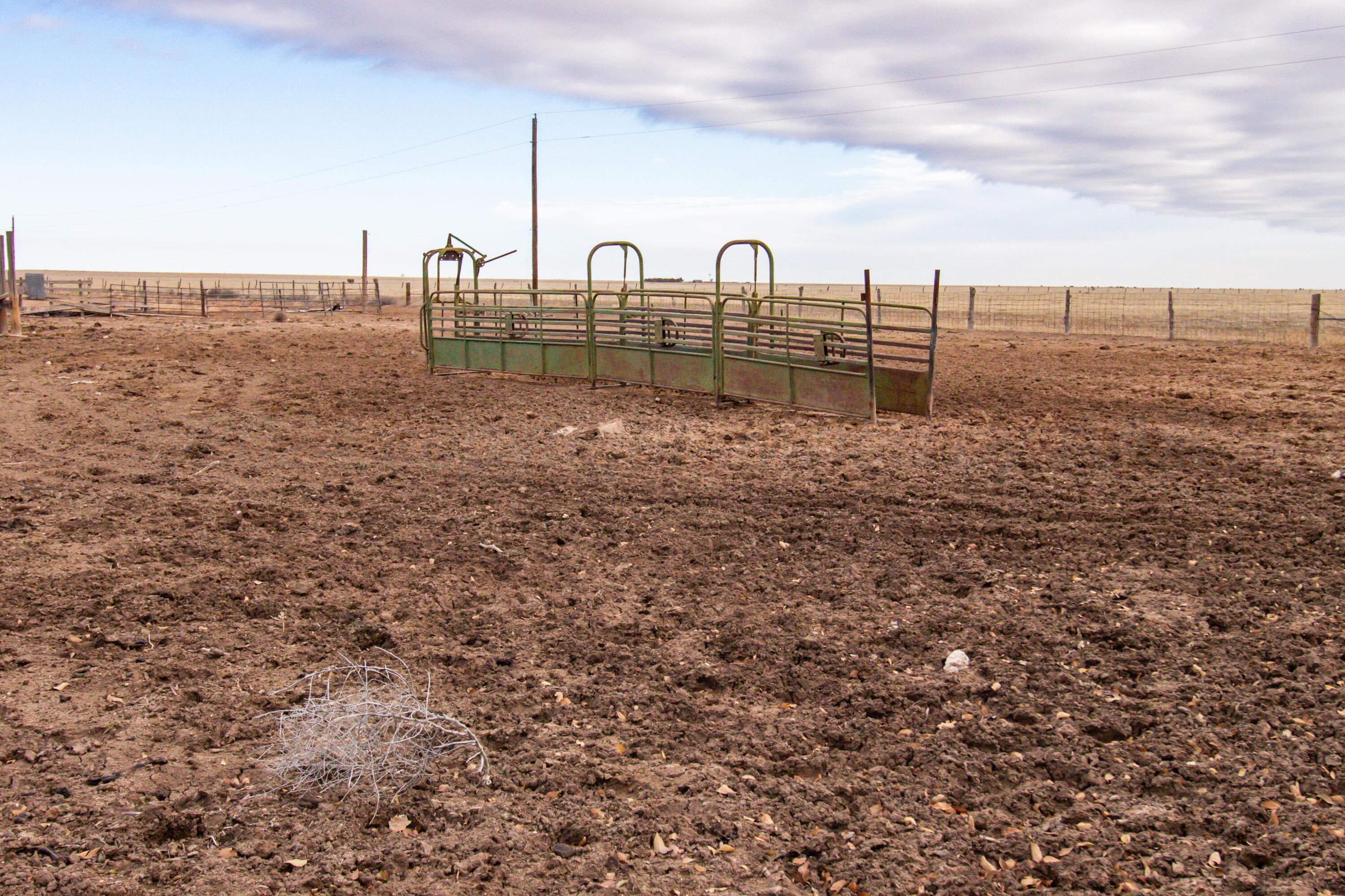 800 South Blessen Road Canyon, TX 79015 - Photo 19 of 34 19