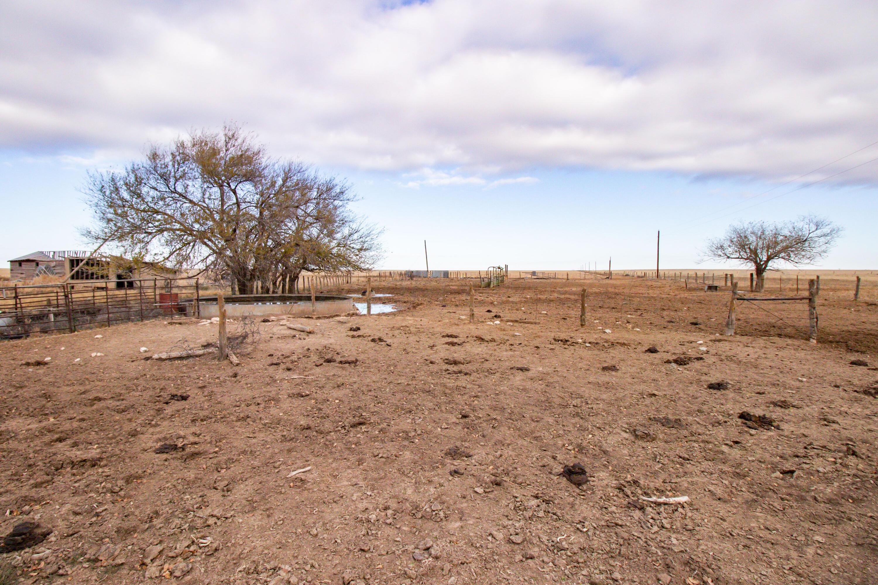 800 South Blessen Road Canyon, TX 79015 - Photo 21 of 34 21