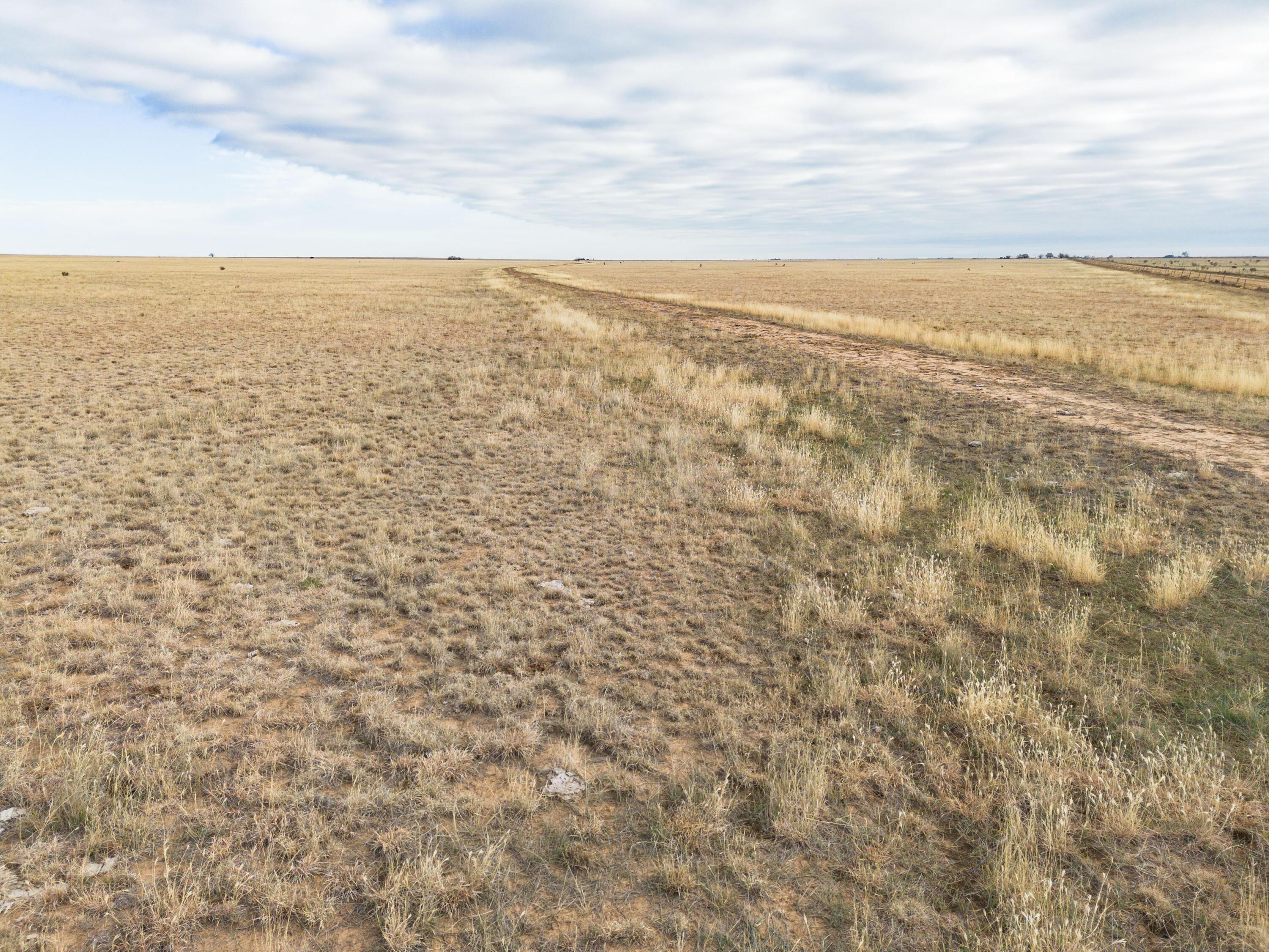 800 South Blessen Road Canyon, TX 79015 - Photo 23 of 34 23
