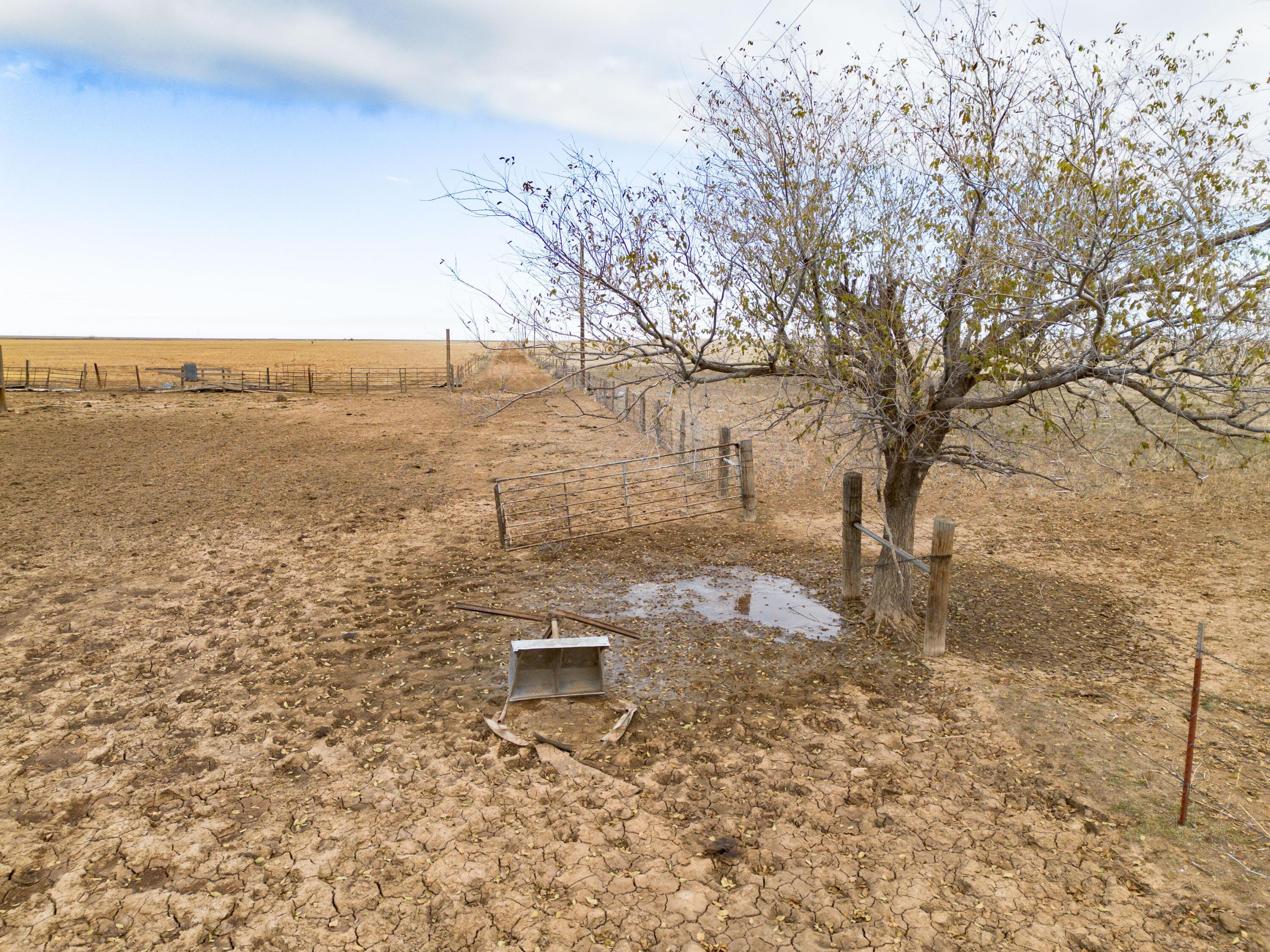 800 South Blessen Road Canyon, TX 79015 - Photo 10 of 34 10